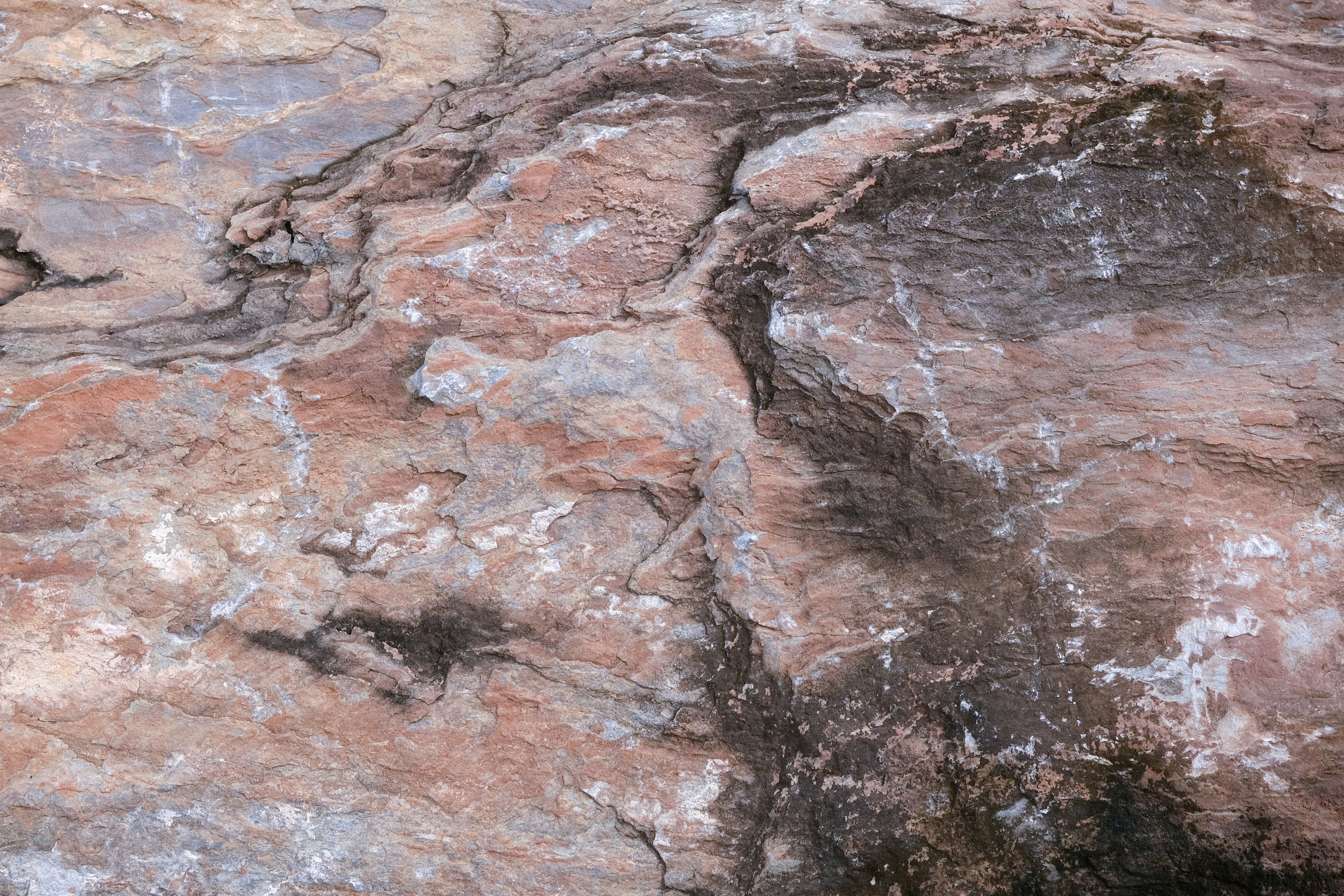 Photo by askarasvarga