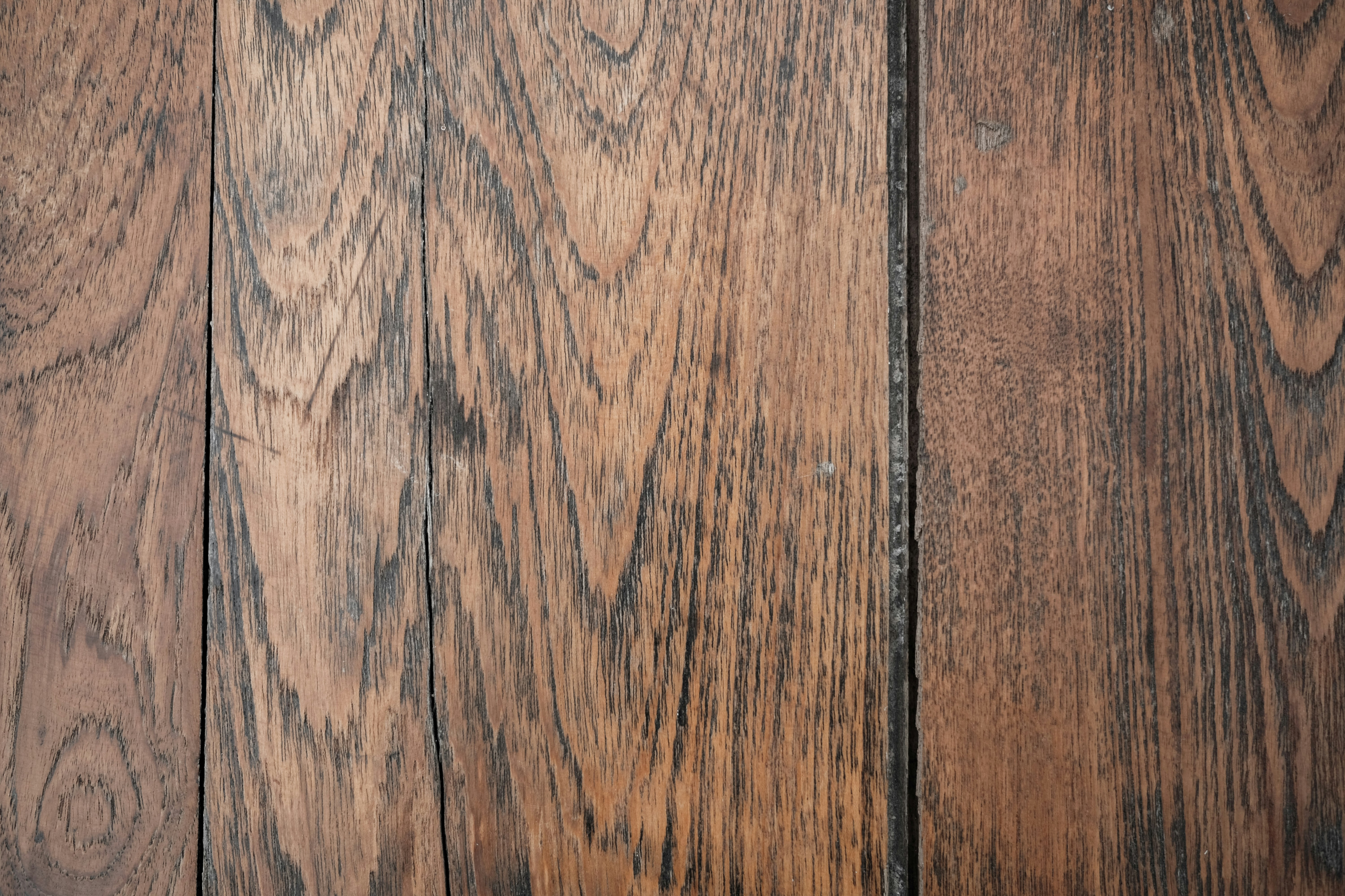 Photo by askarasvarga