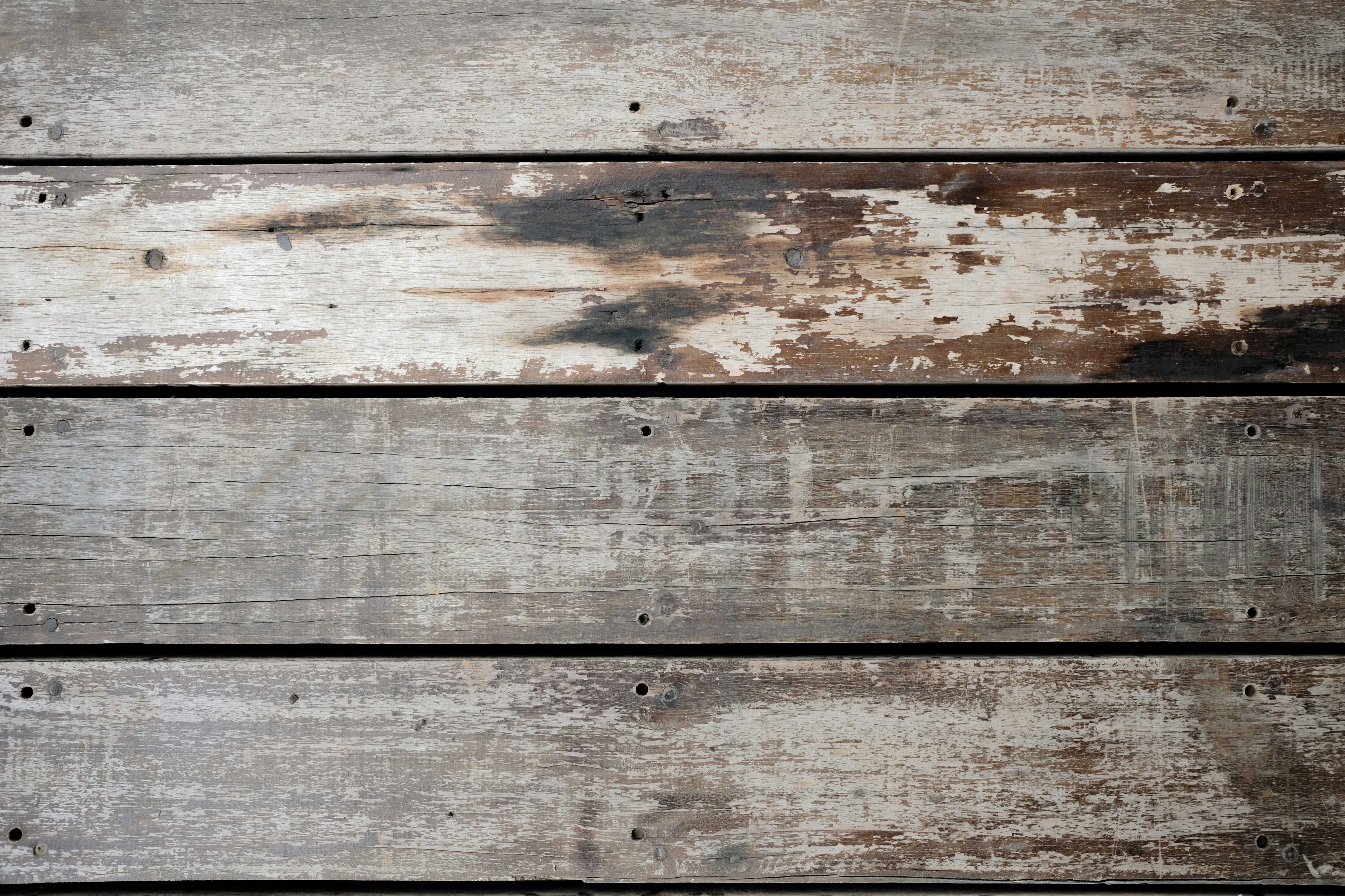 Photo by askarasvarga