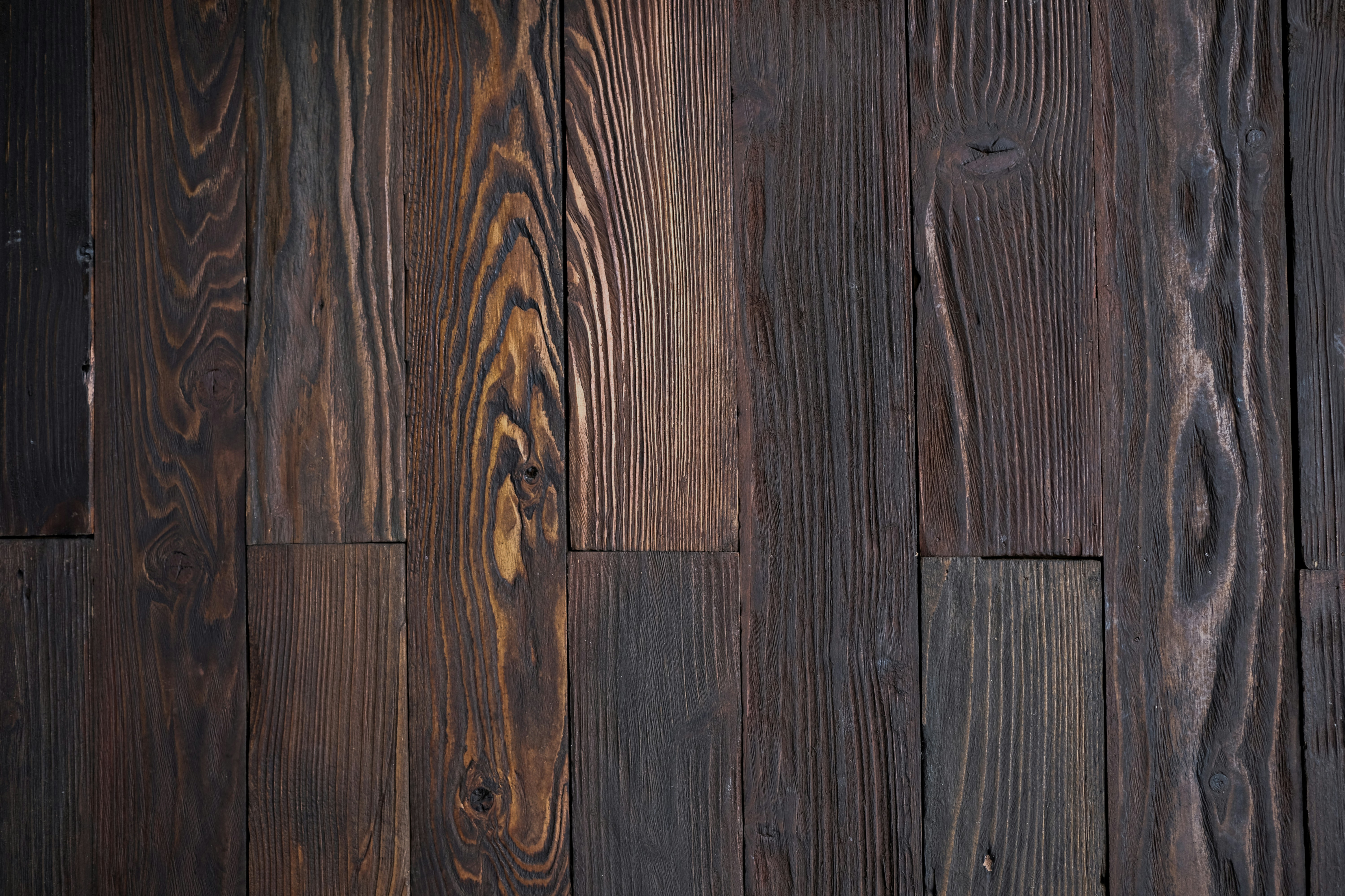 Photo by askarasvarga