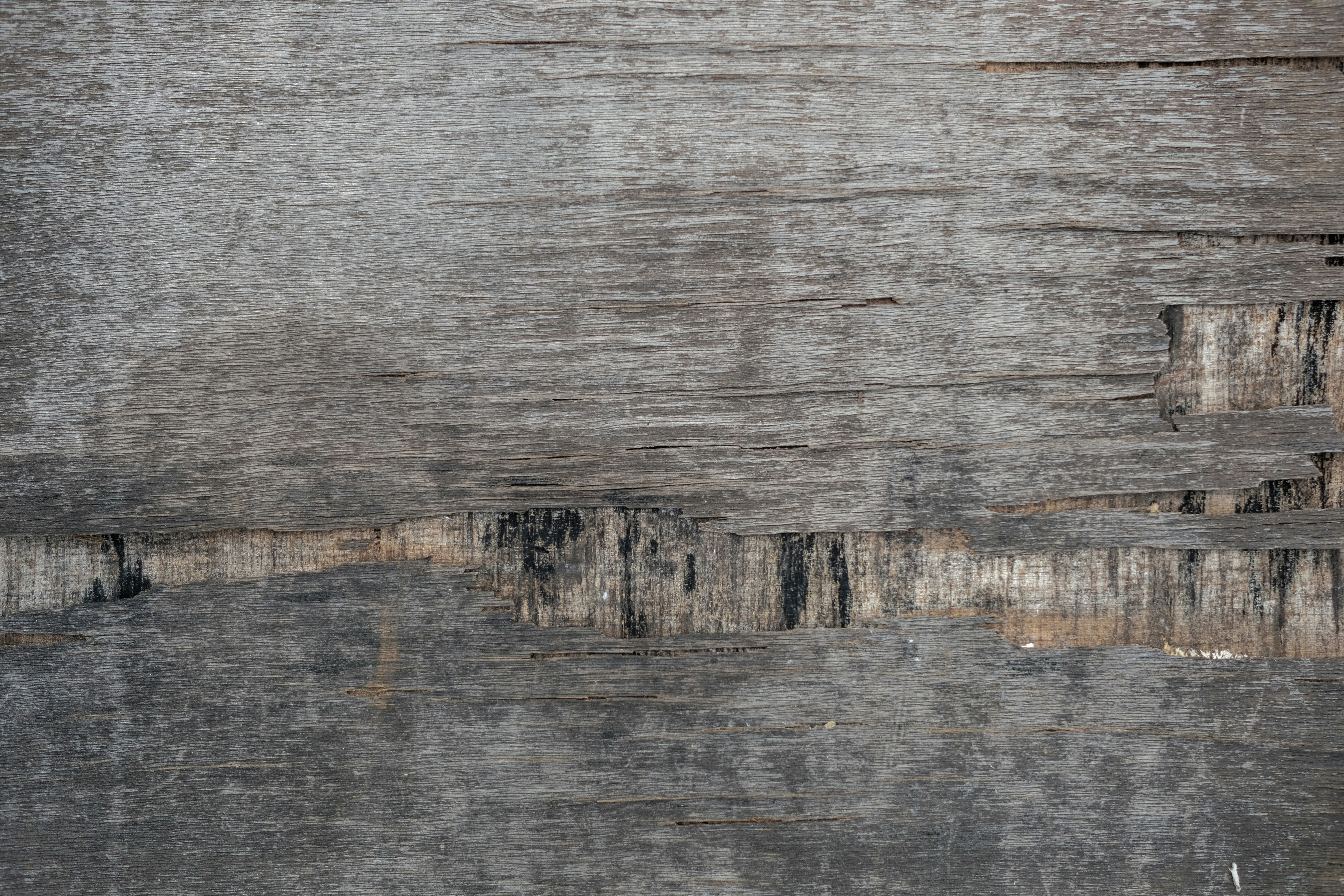 Photo by askarasvarga