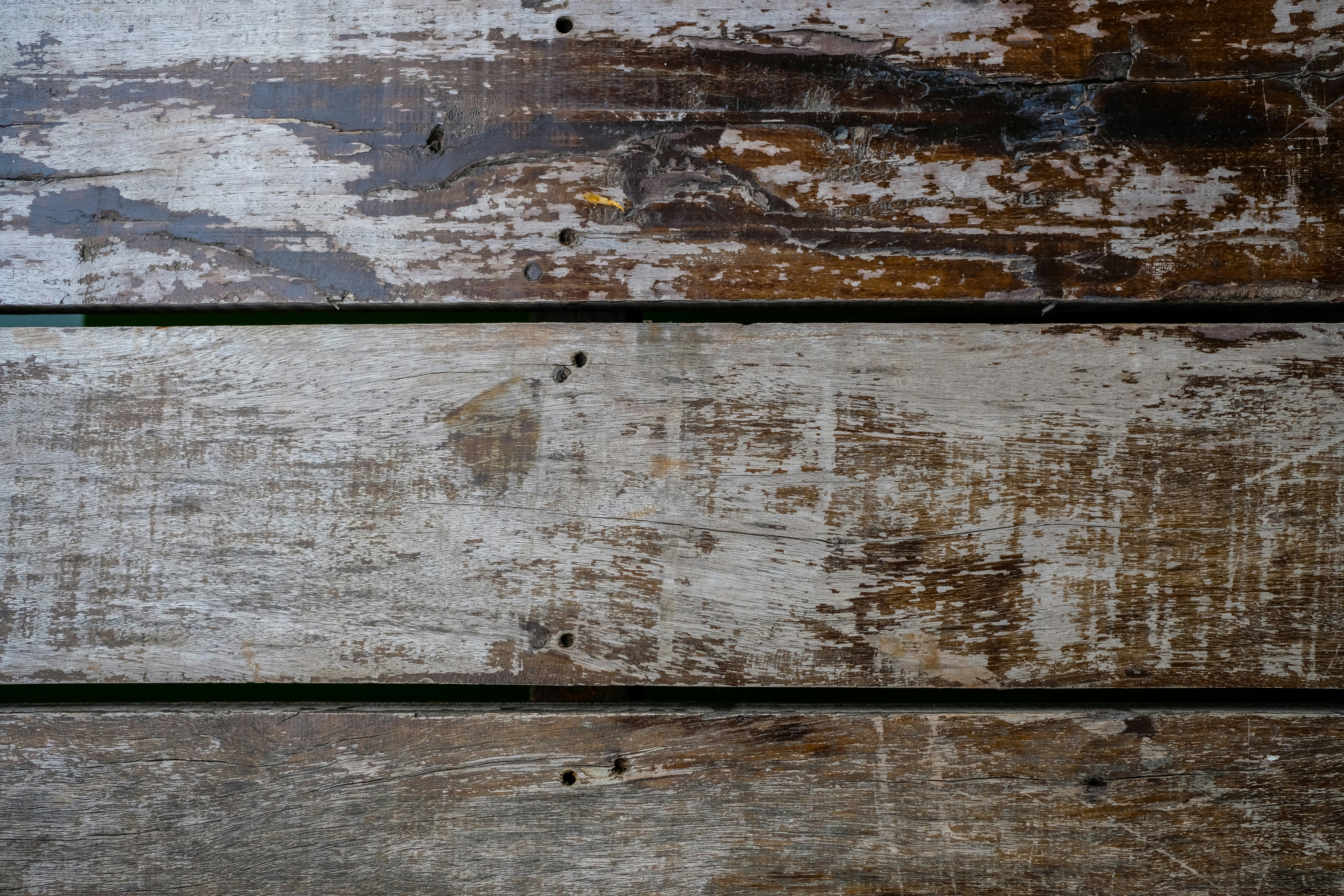 Photo by askarasvarga