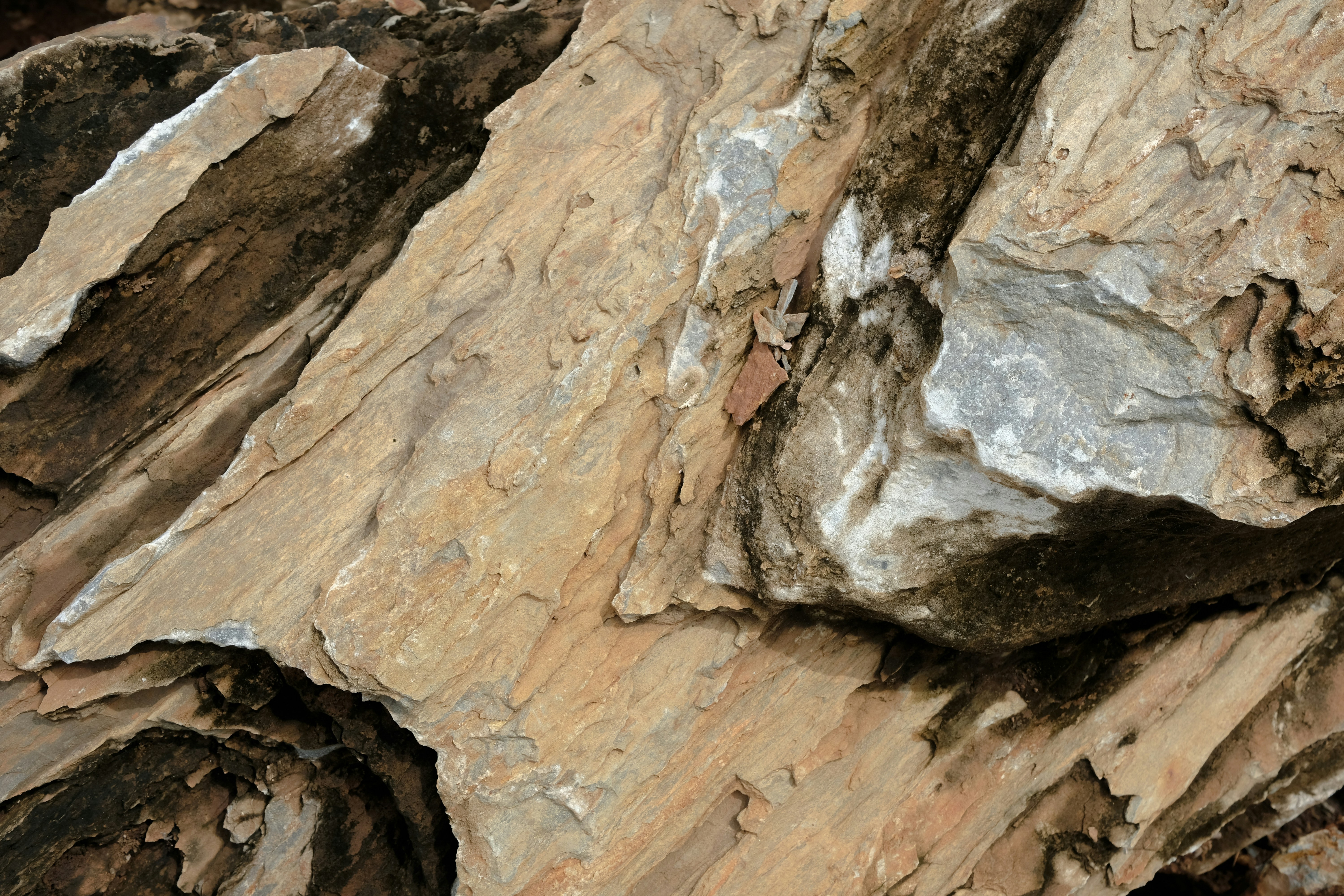 Photo by askarasvarga