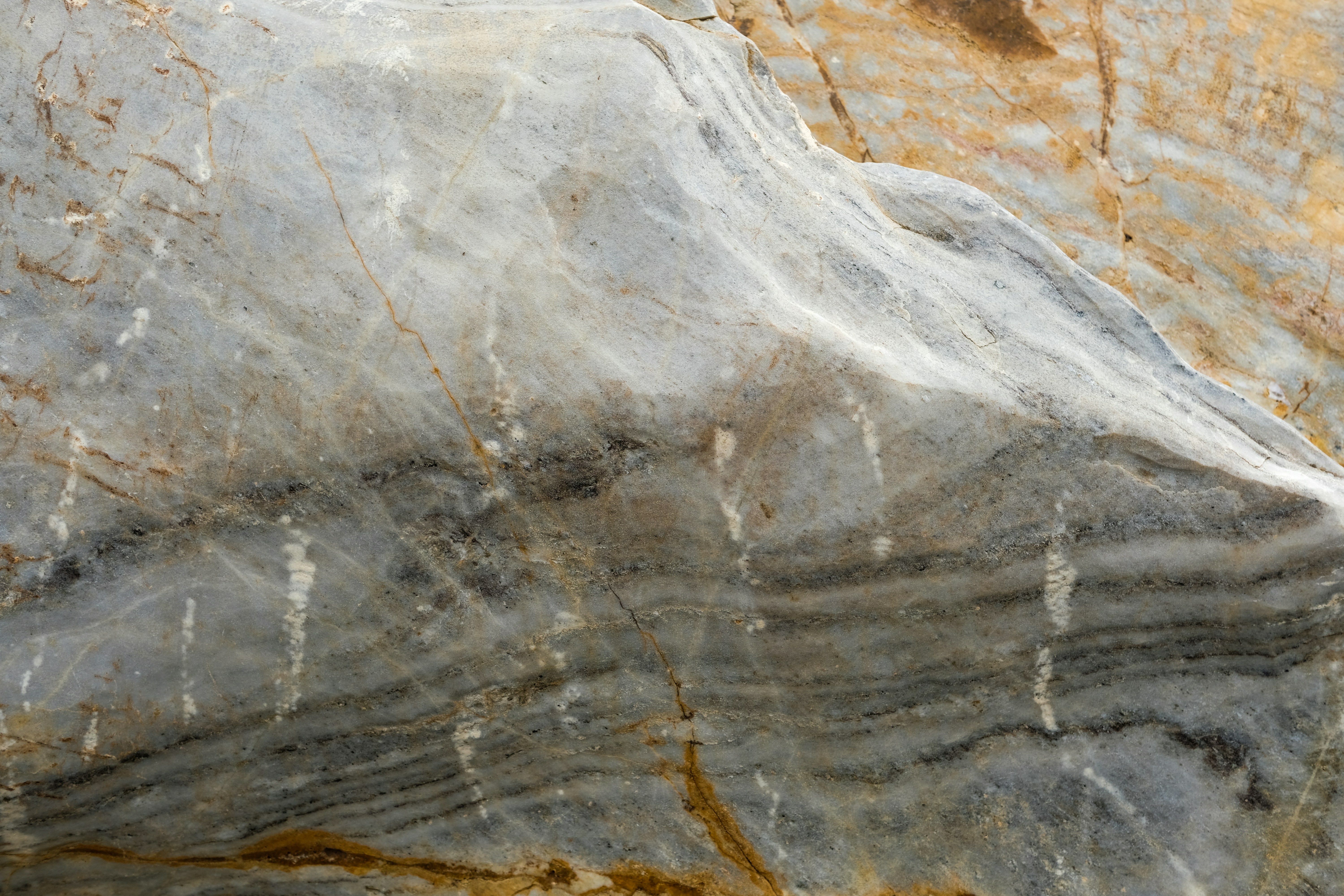 Photo by askarasvarga