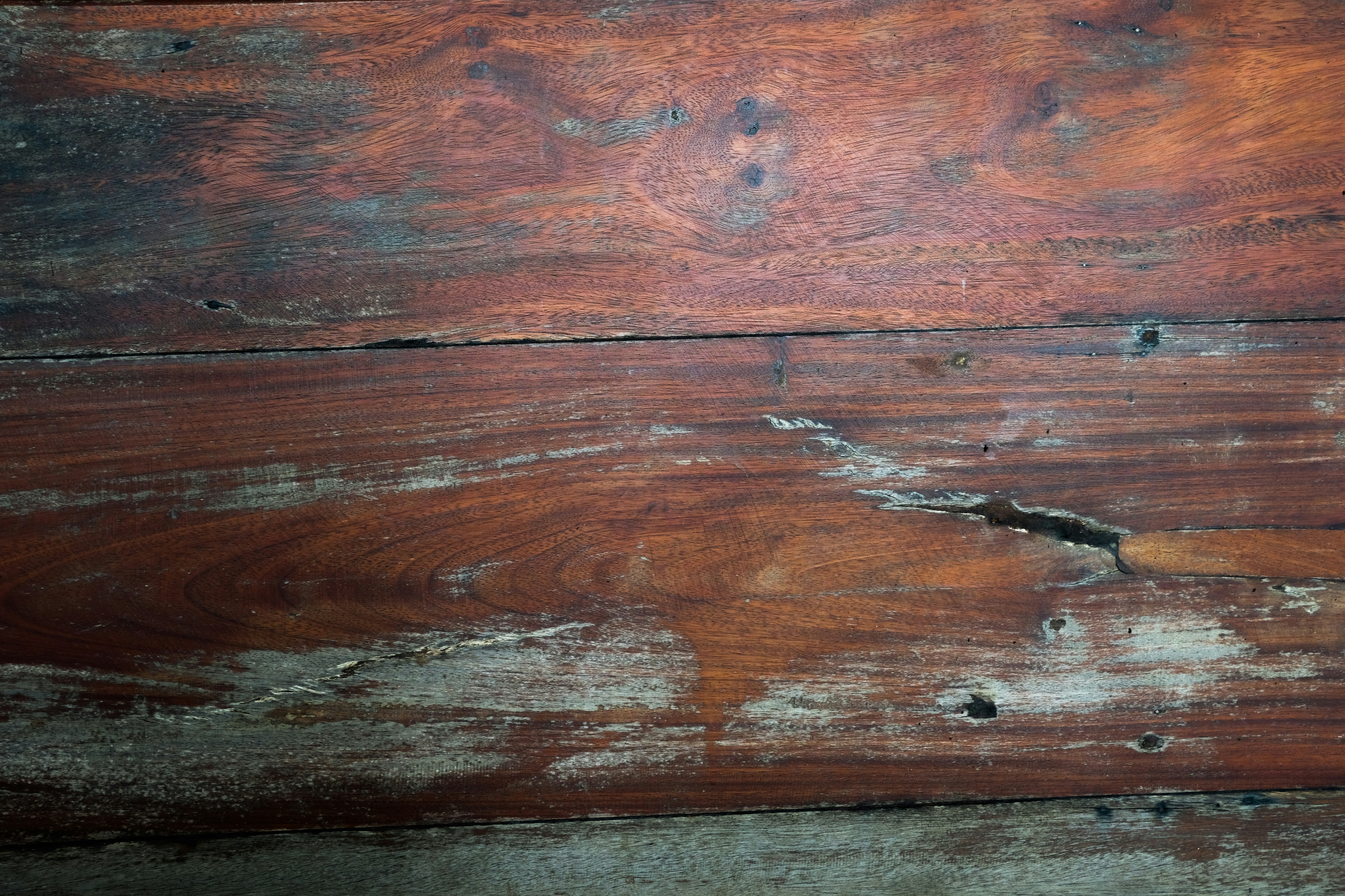 Photo by askarasvarga