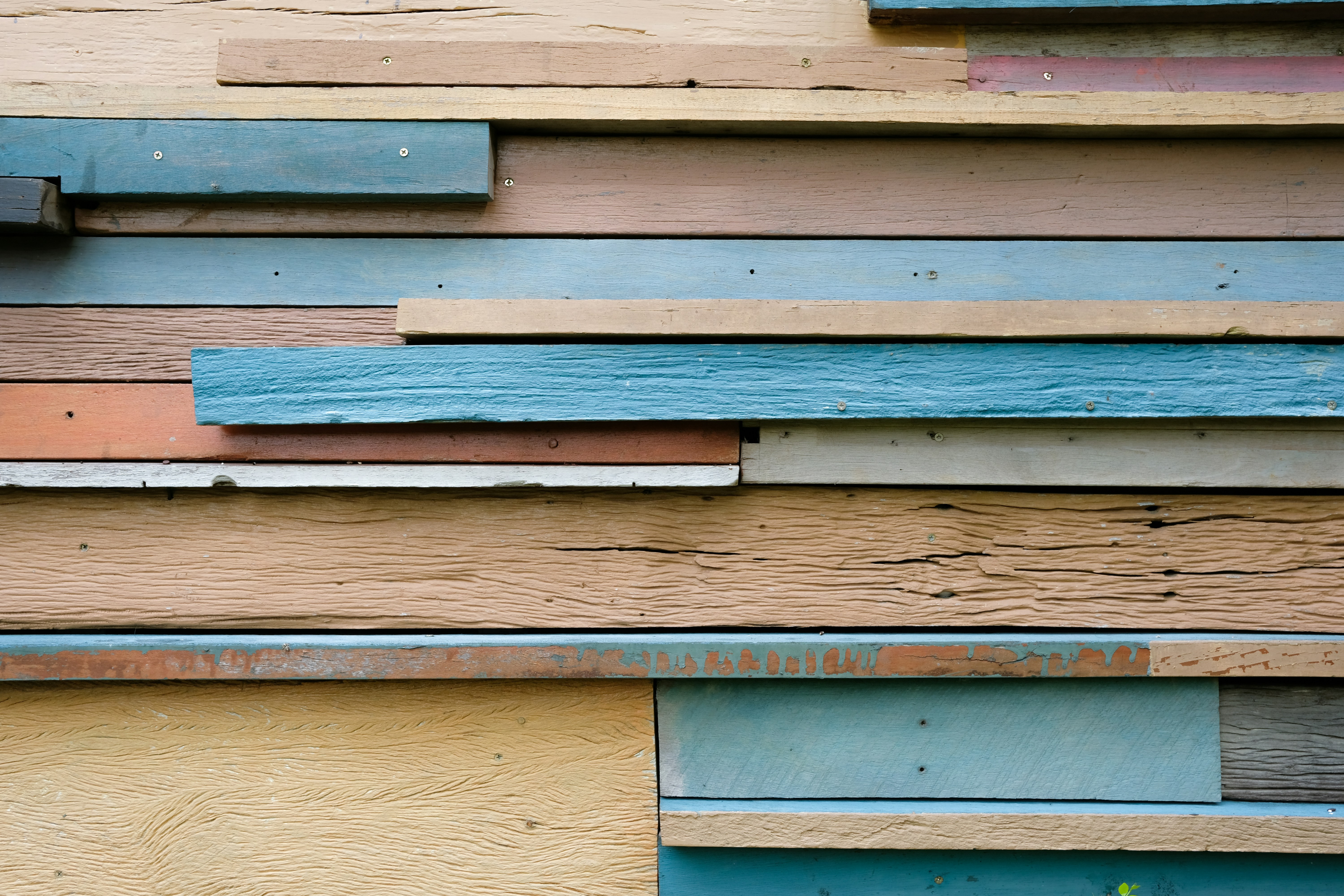 Photo by askarasvarga