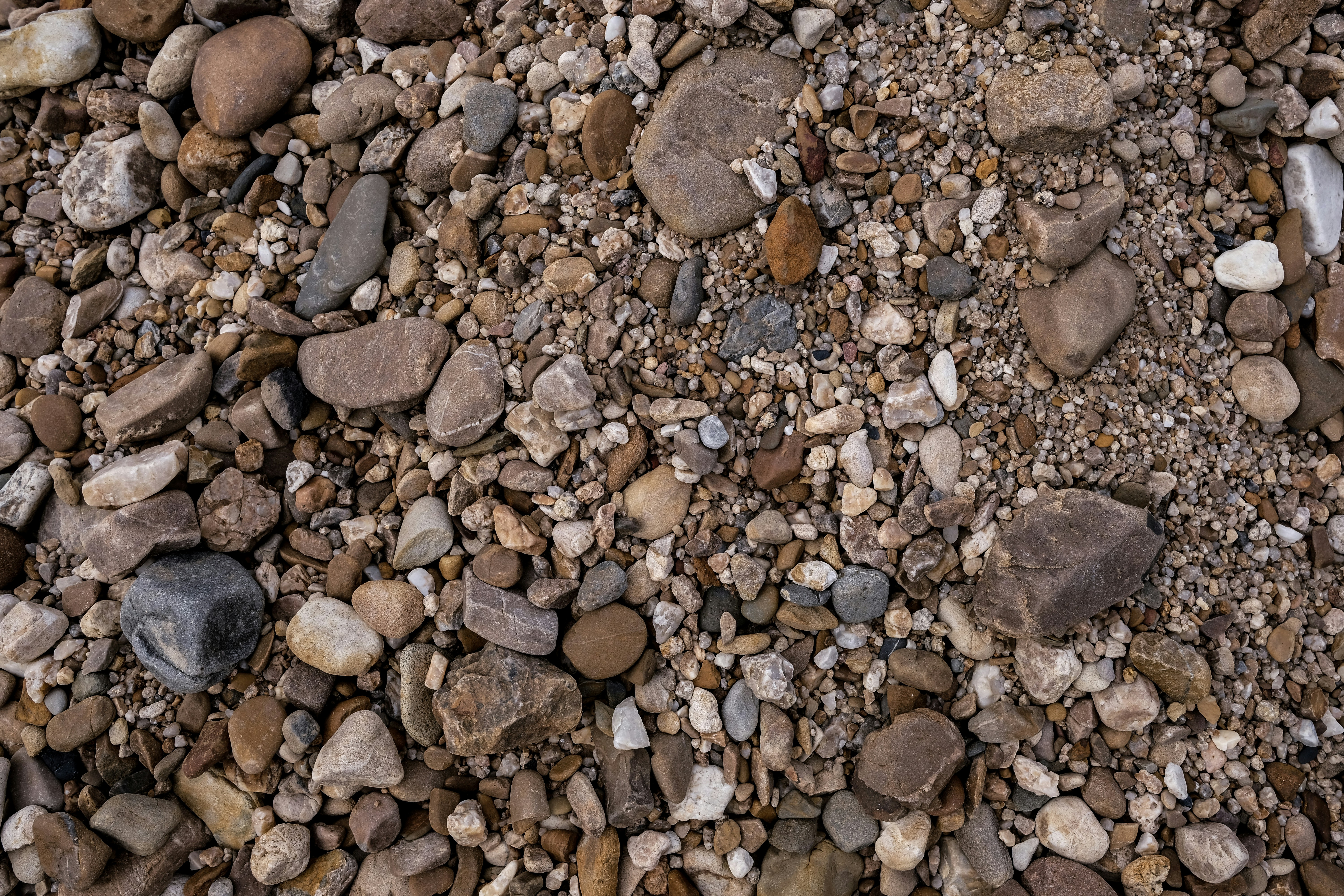 Photo by askarasvarga