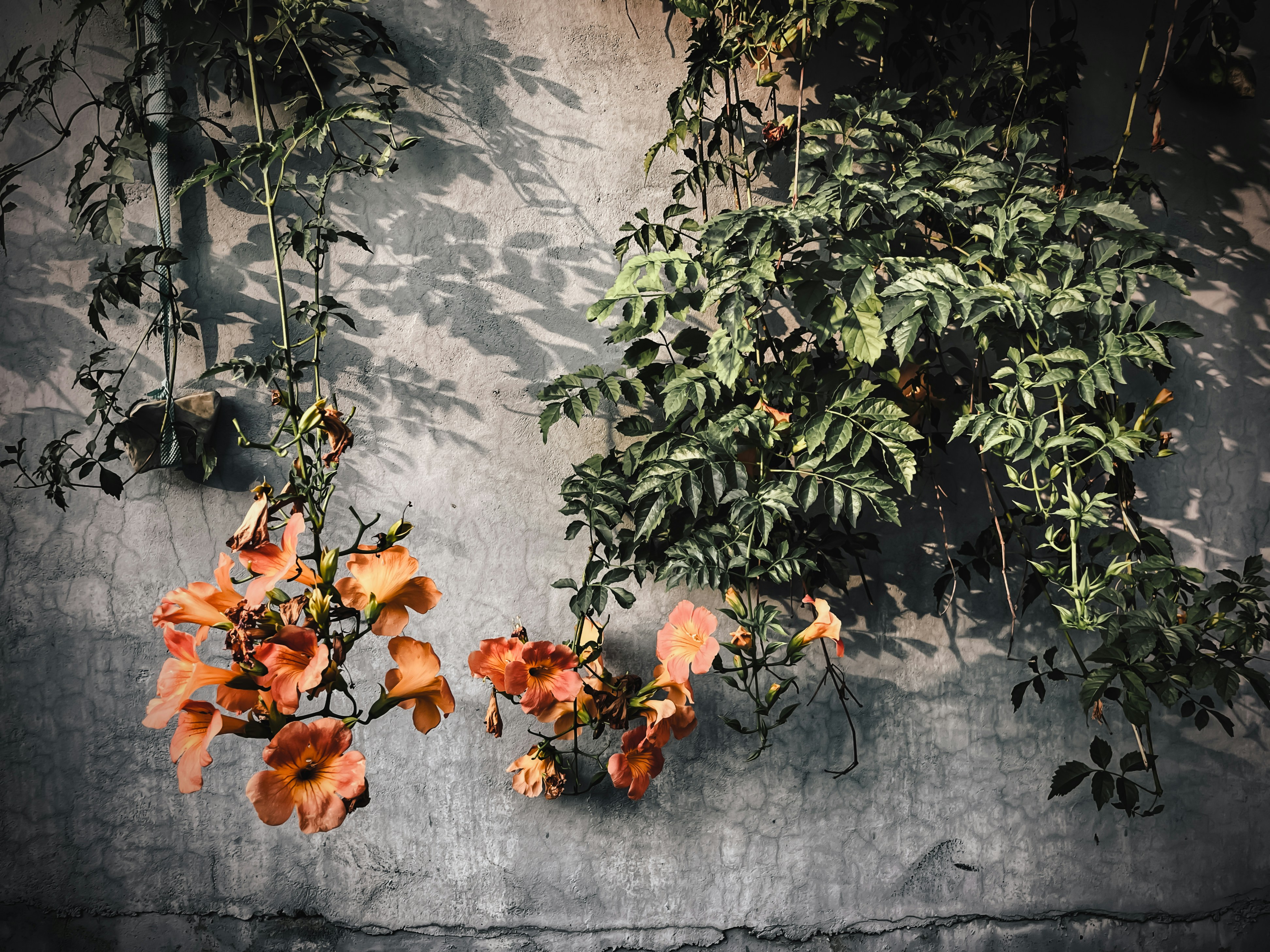 Photo by unidentifieduser