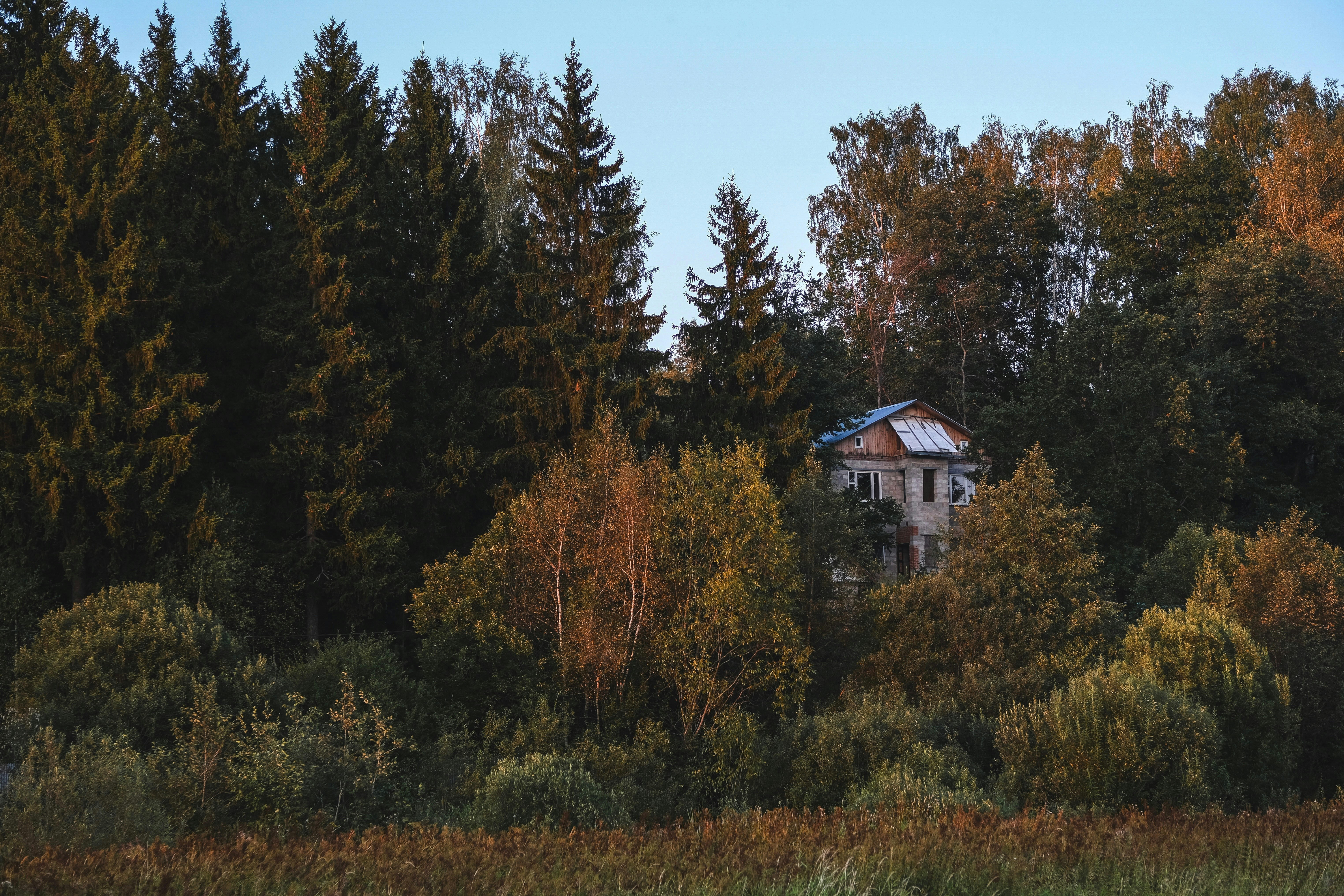 Photo by rolig_basseng