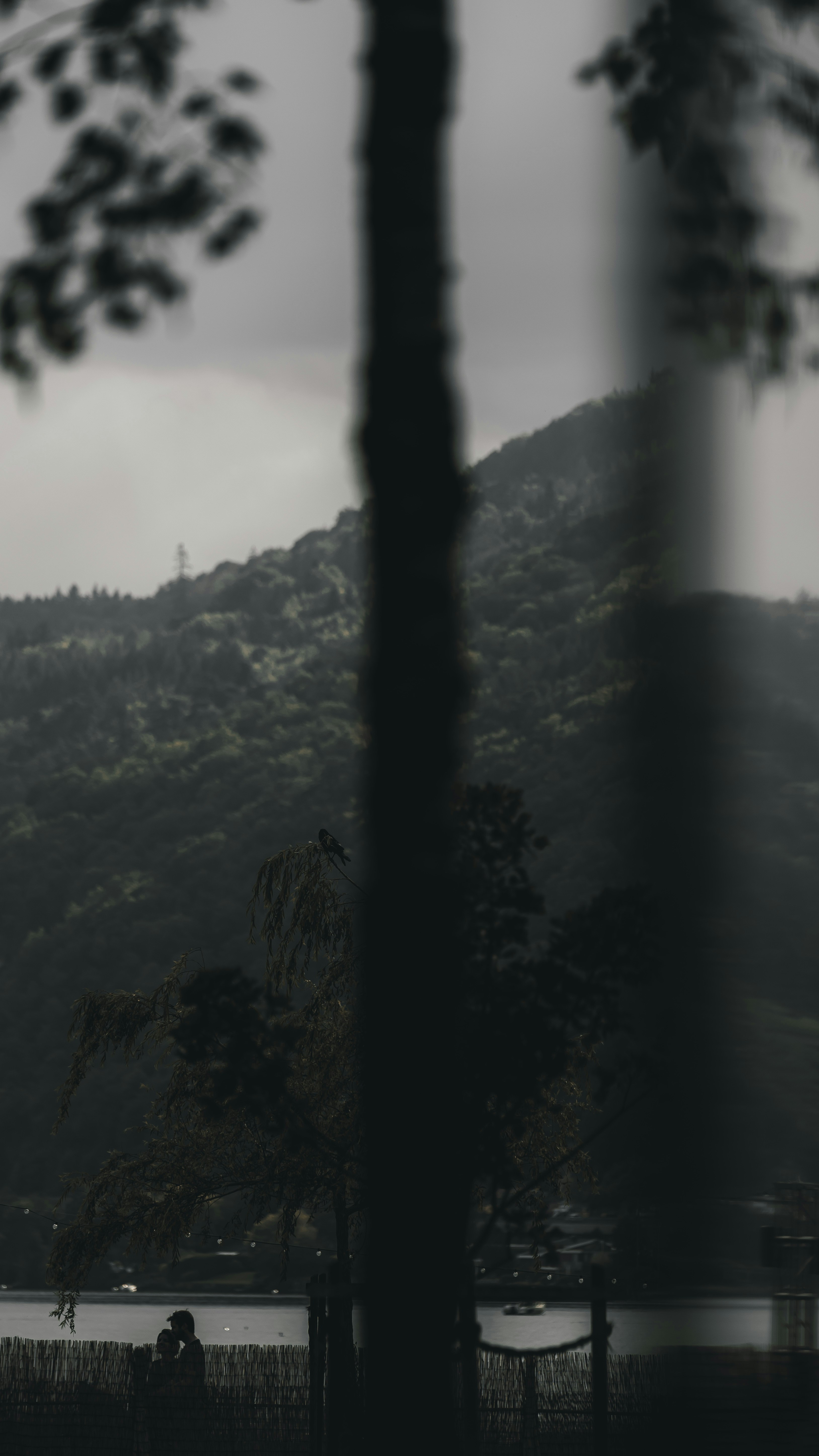 Photo by miguel_ind0