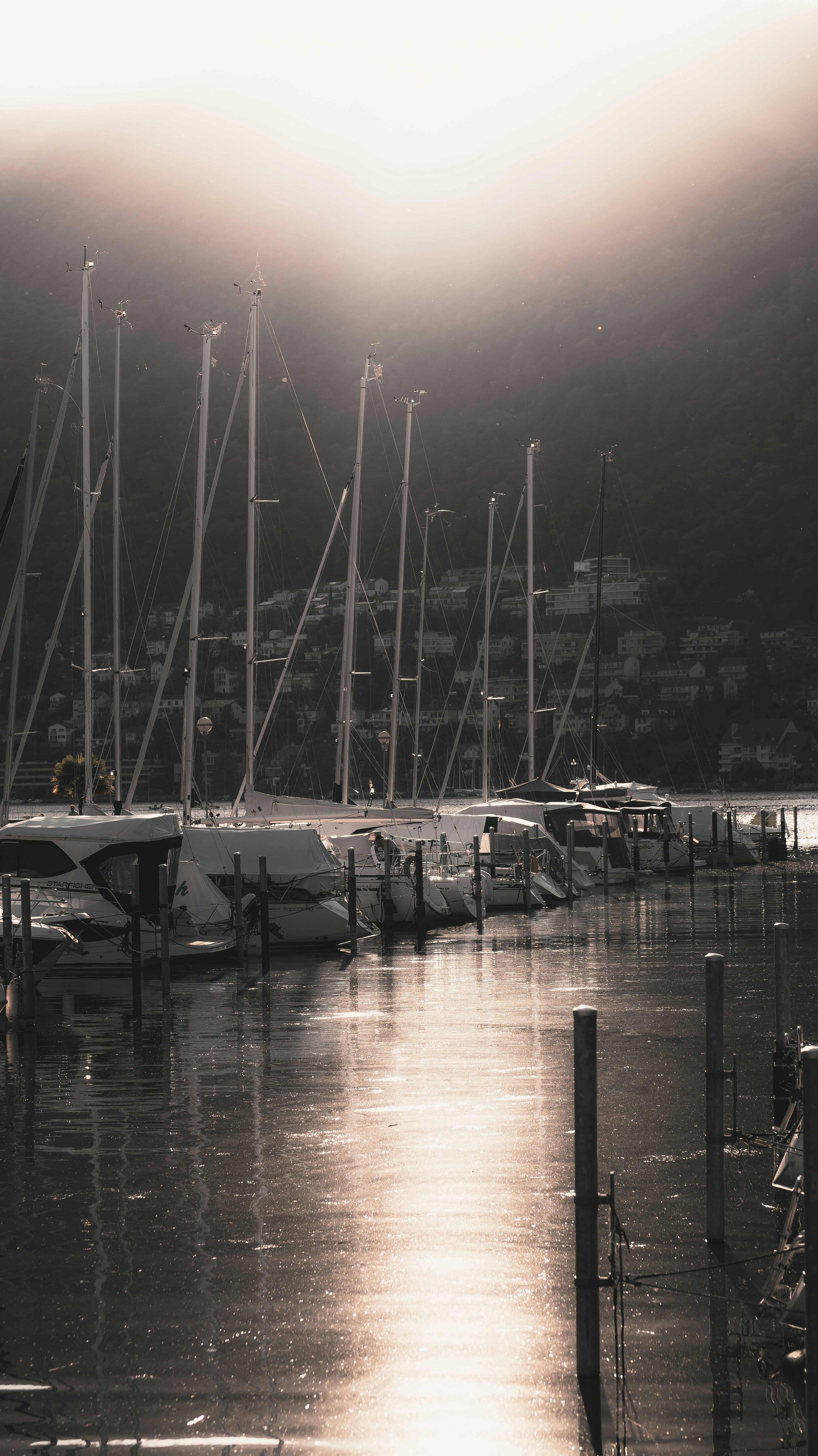 Photo by miguel_ind0