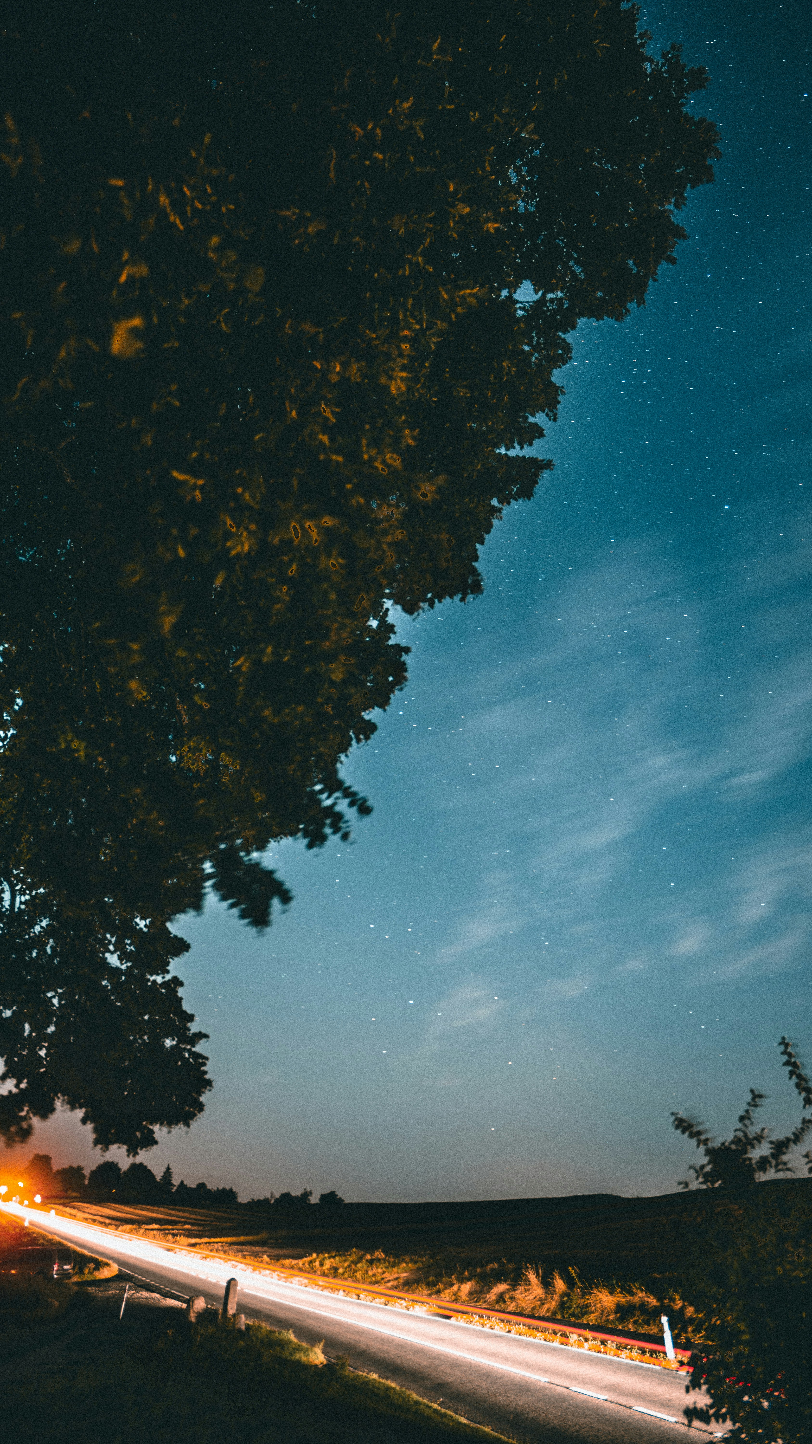 Photo by miguel_ind0