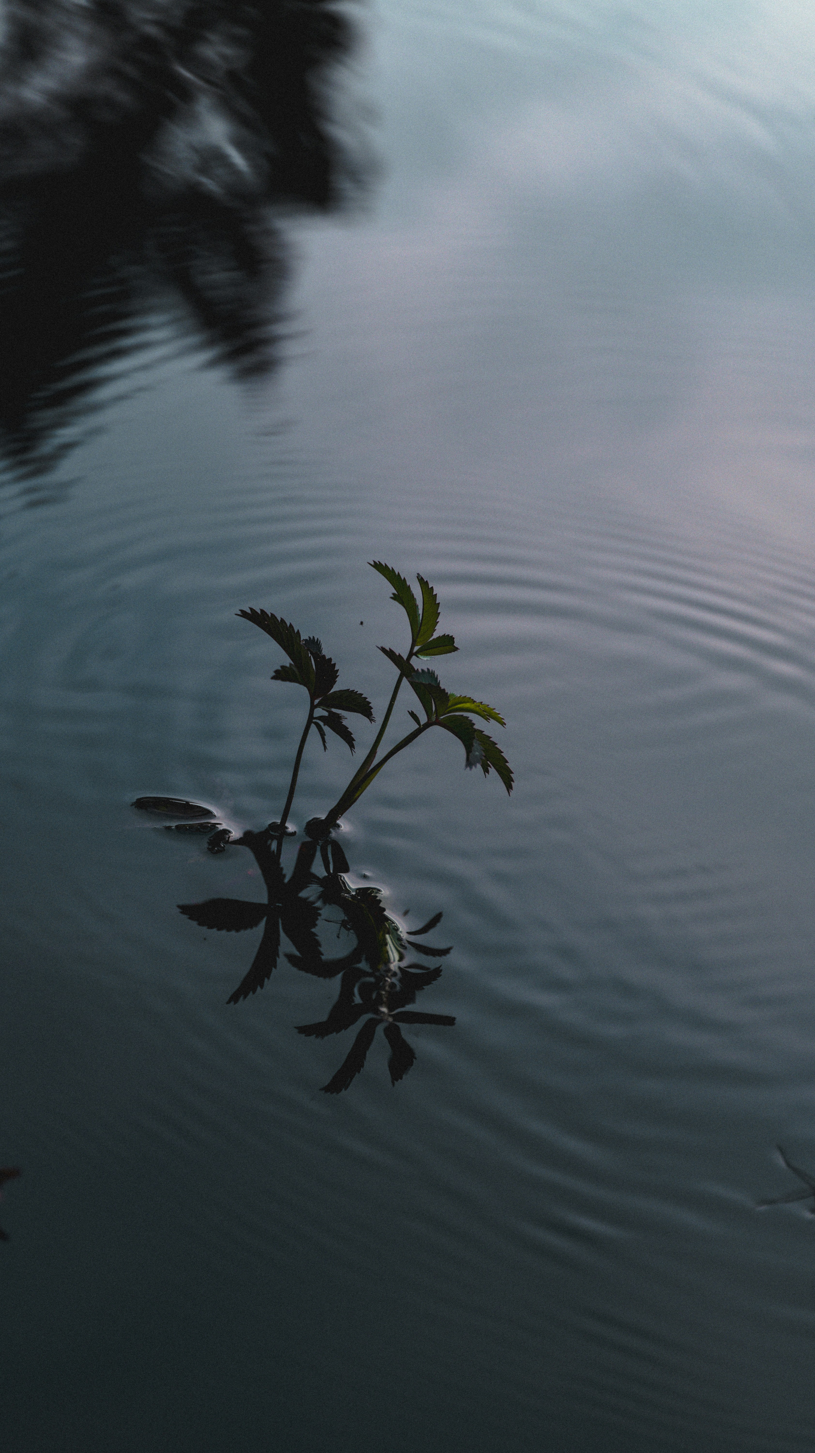 Photo by miguel_ind0