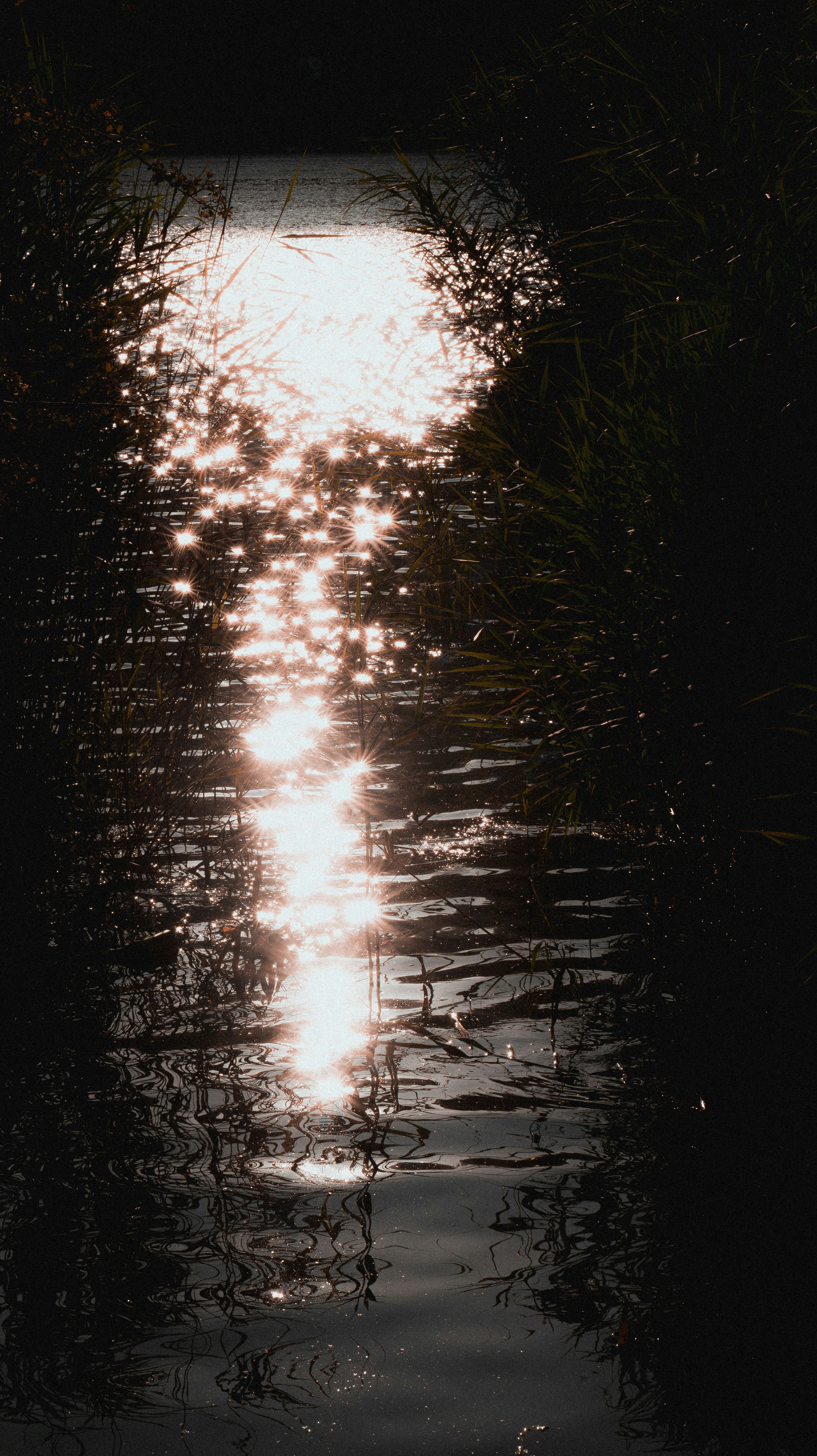 Photo by miguel_ind0