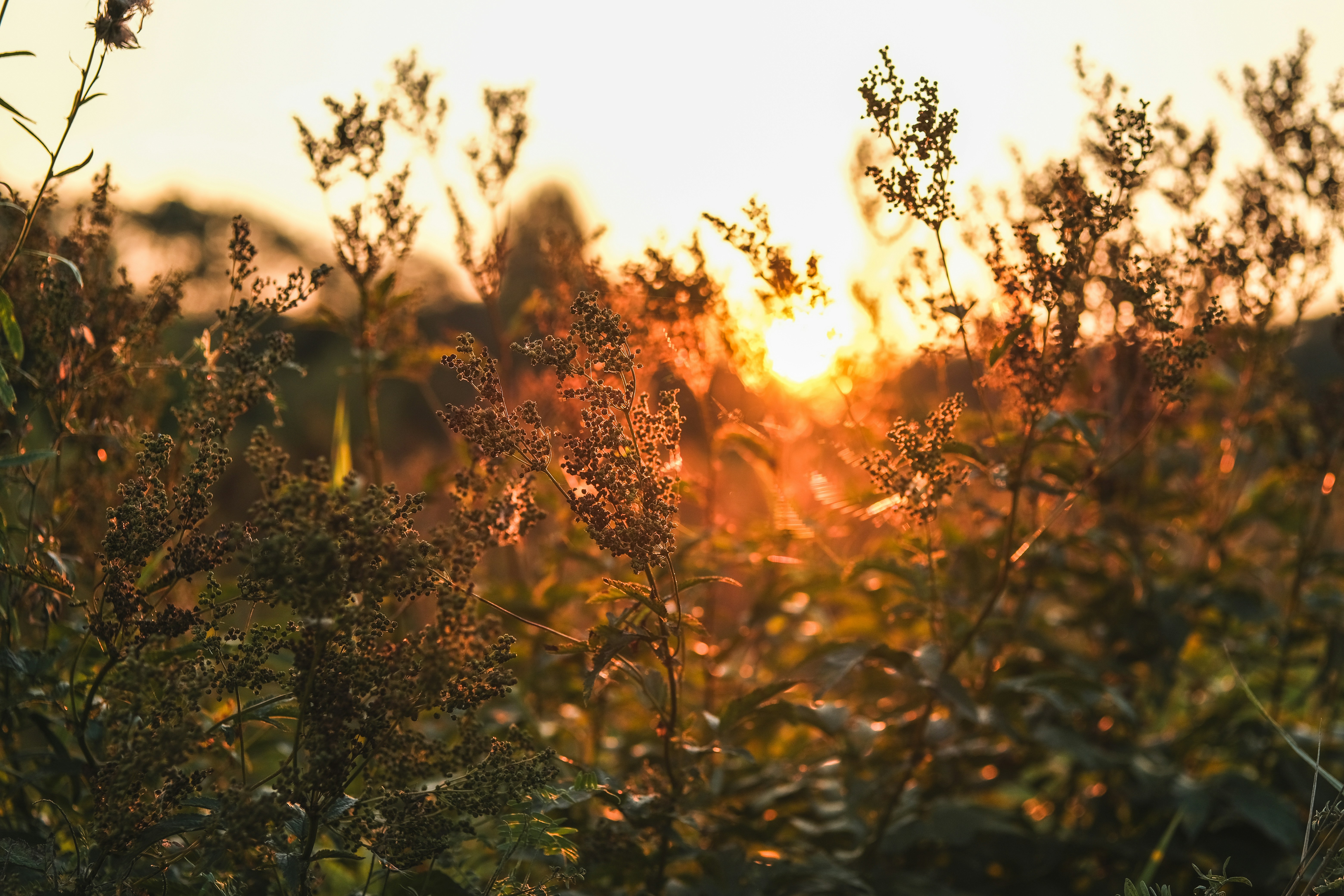 Photo by rolig_basseng