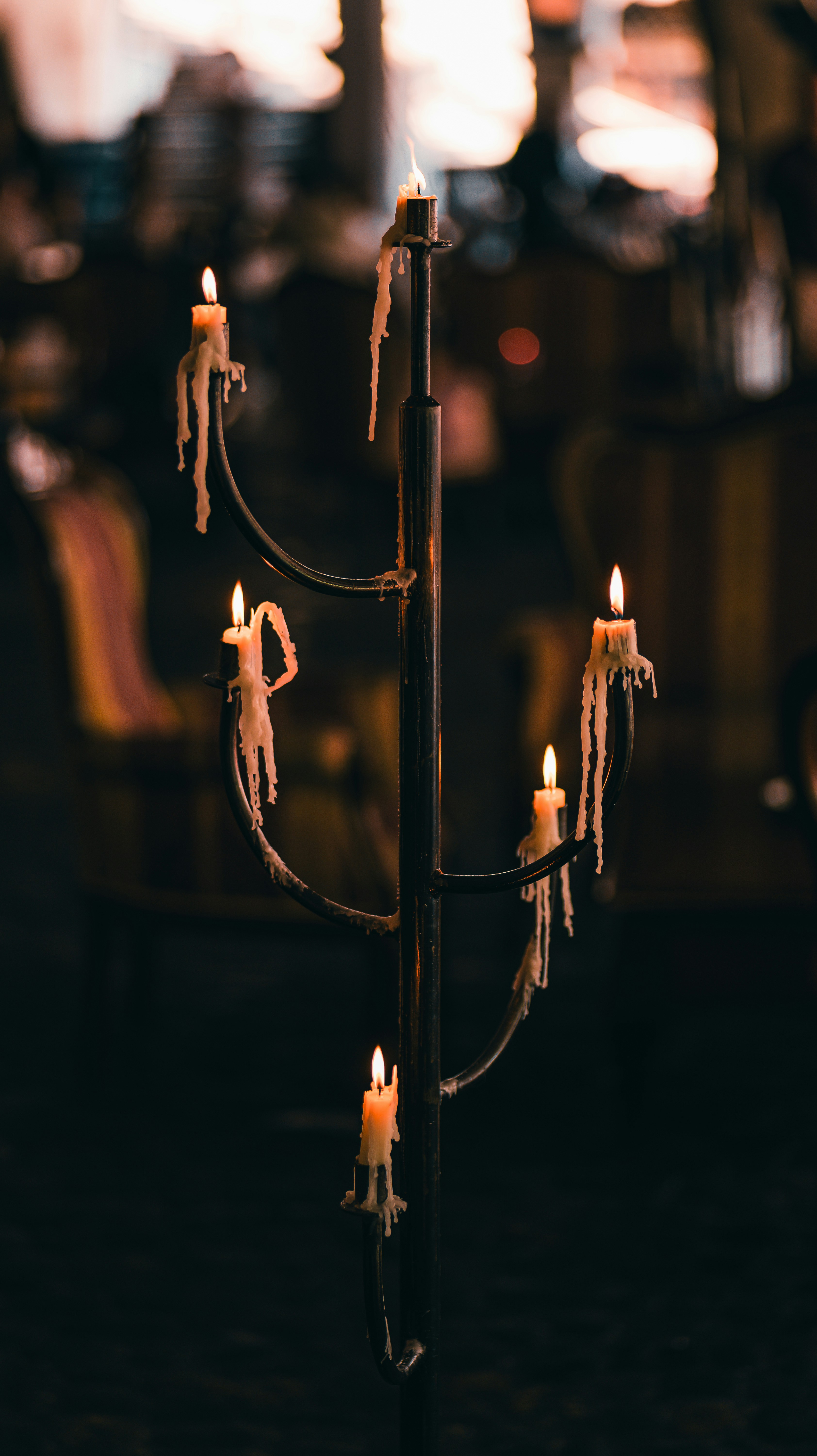 Photo by miguel_ind0