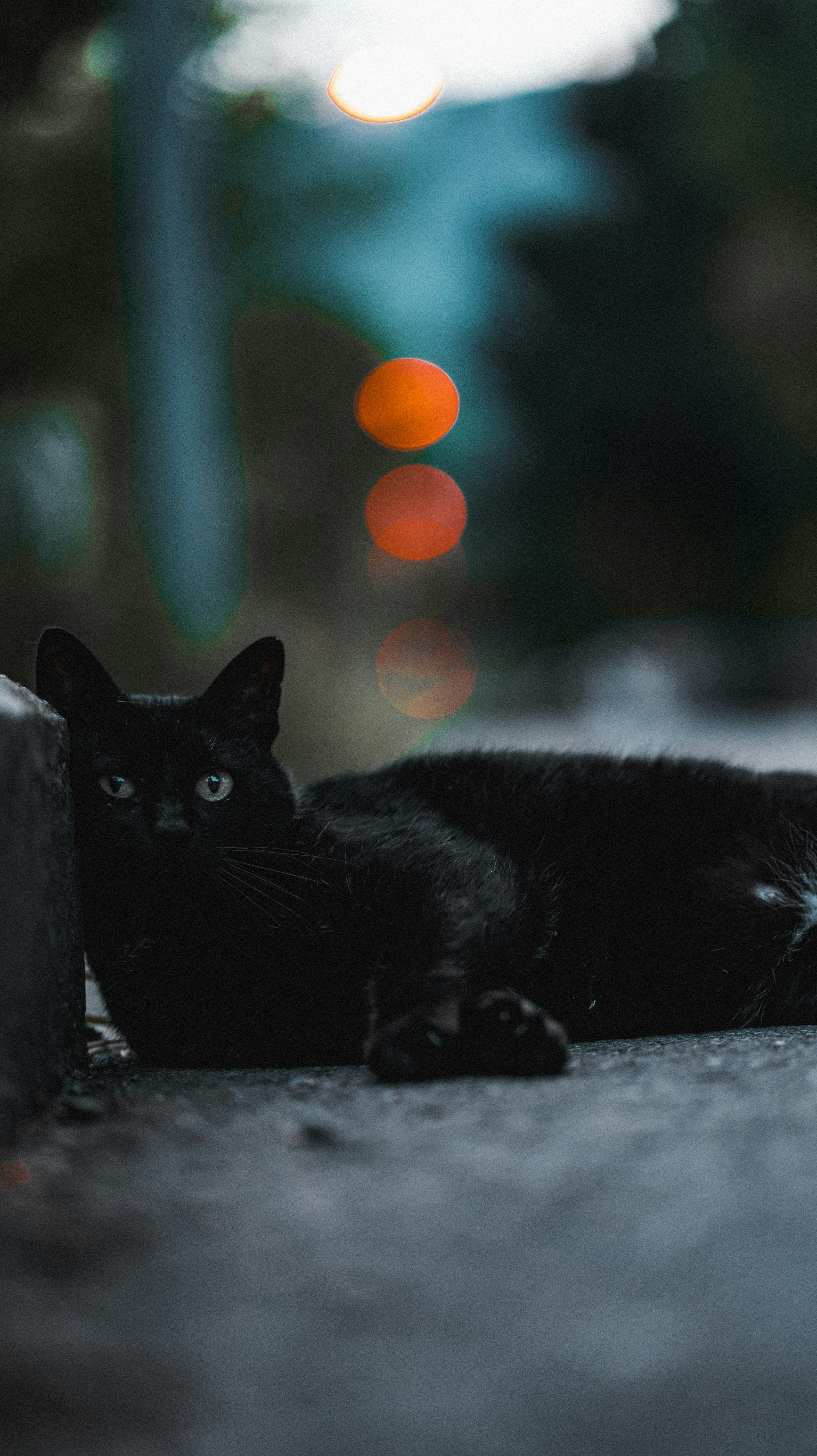 Photo by miguel_ind0