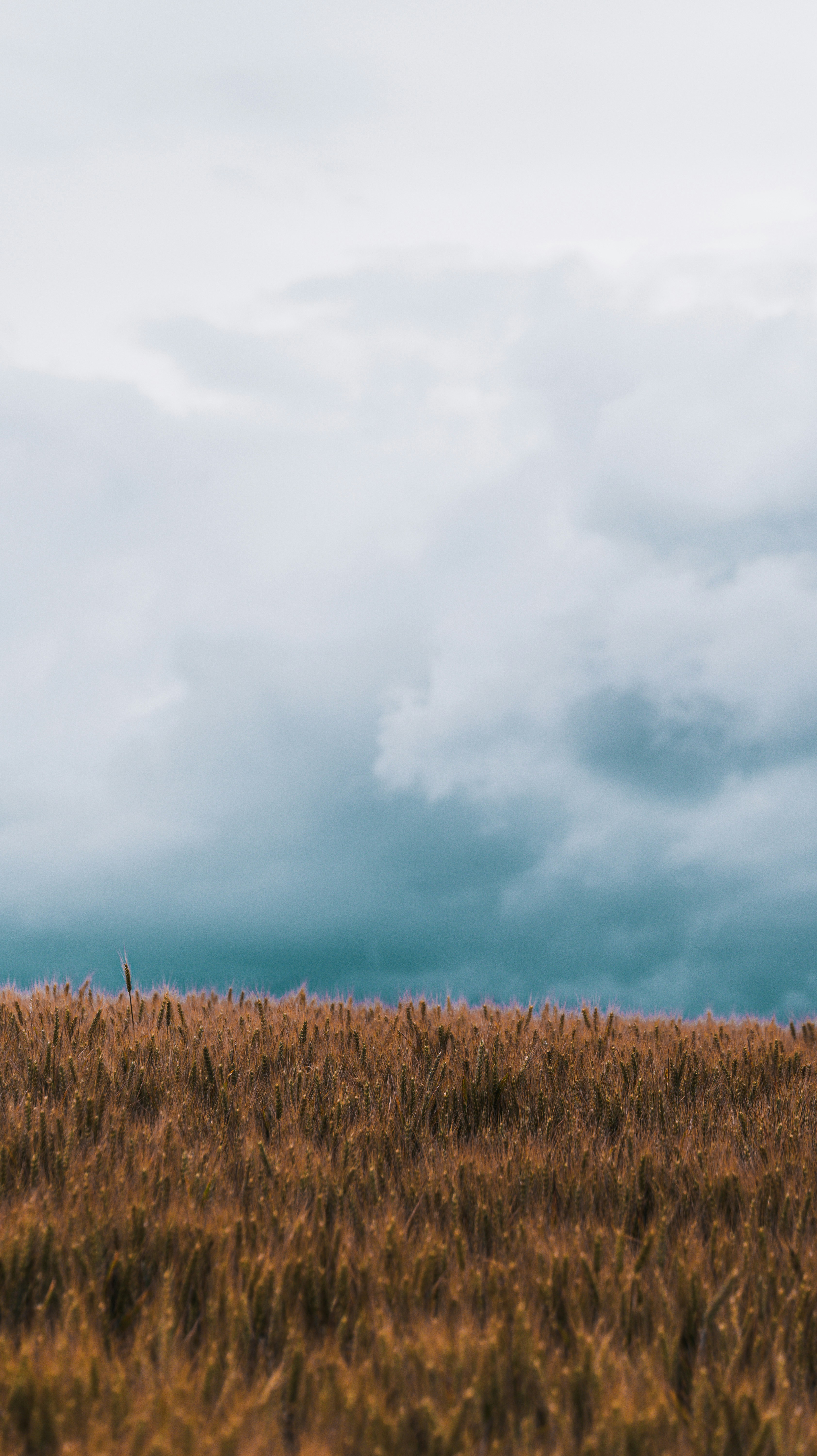 Photo by miguel_ind0