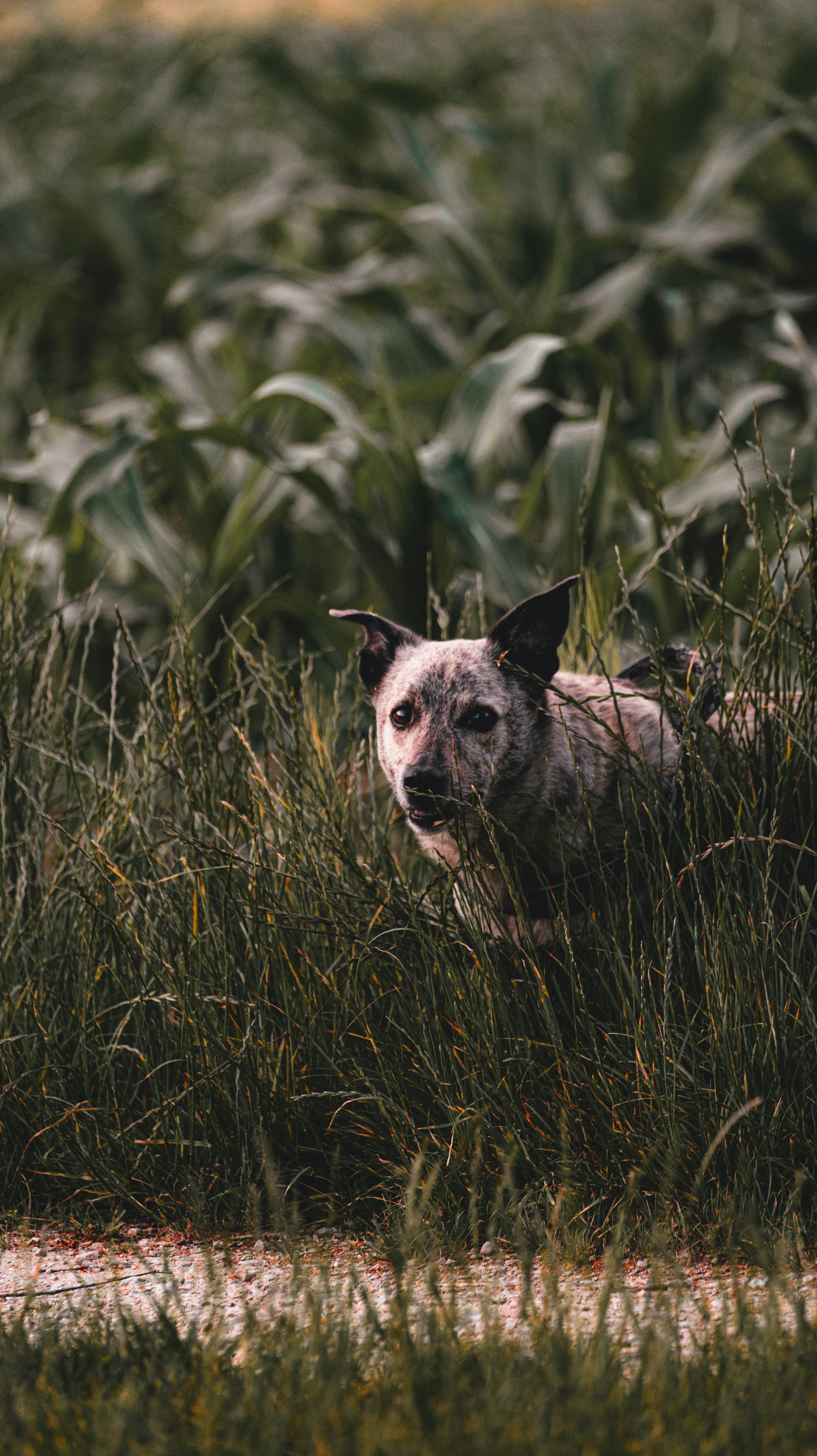 Photo by miguel_ind0