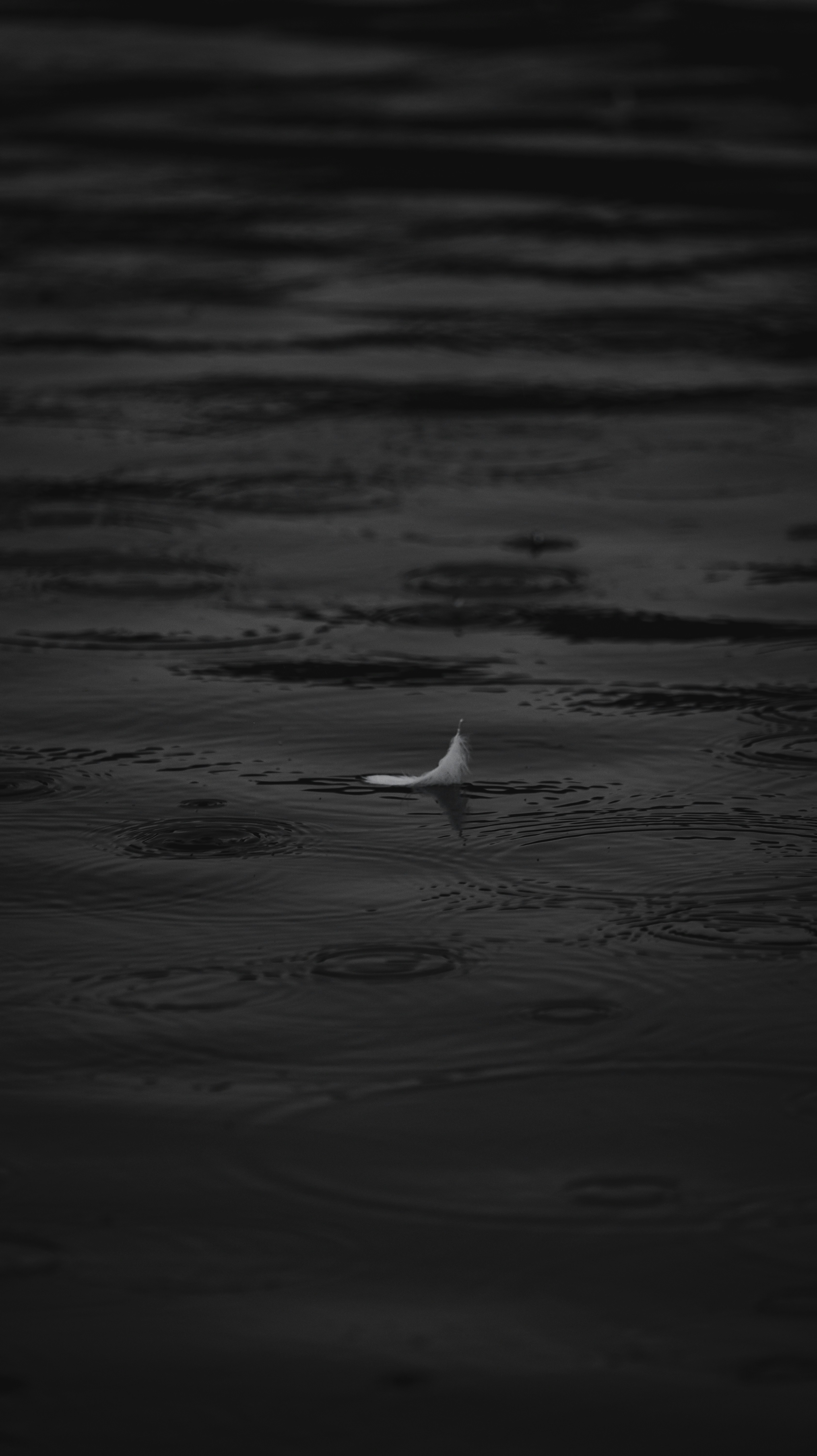 Photo by miguel_ind0