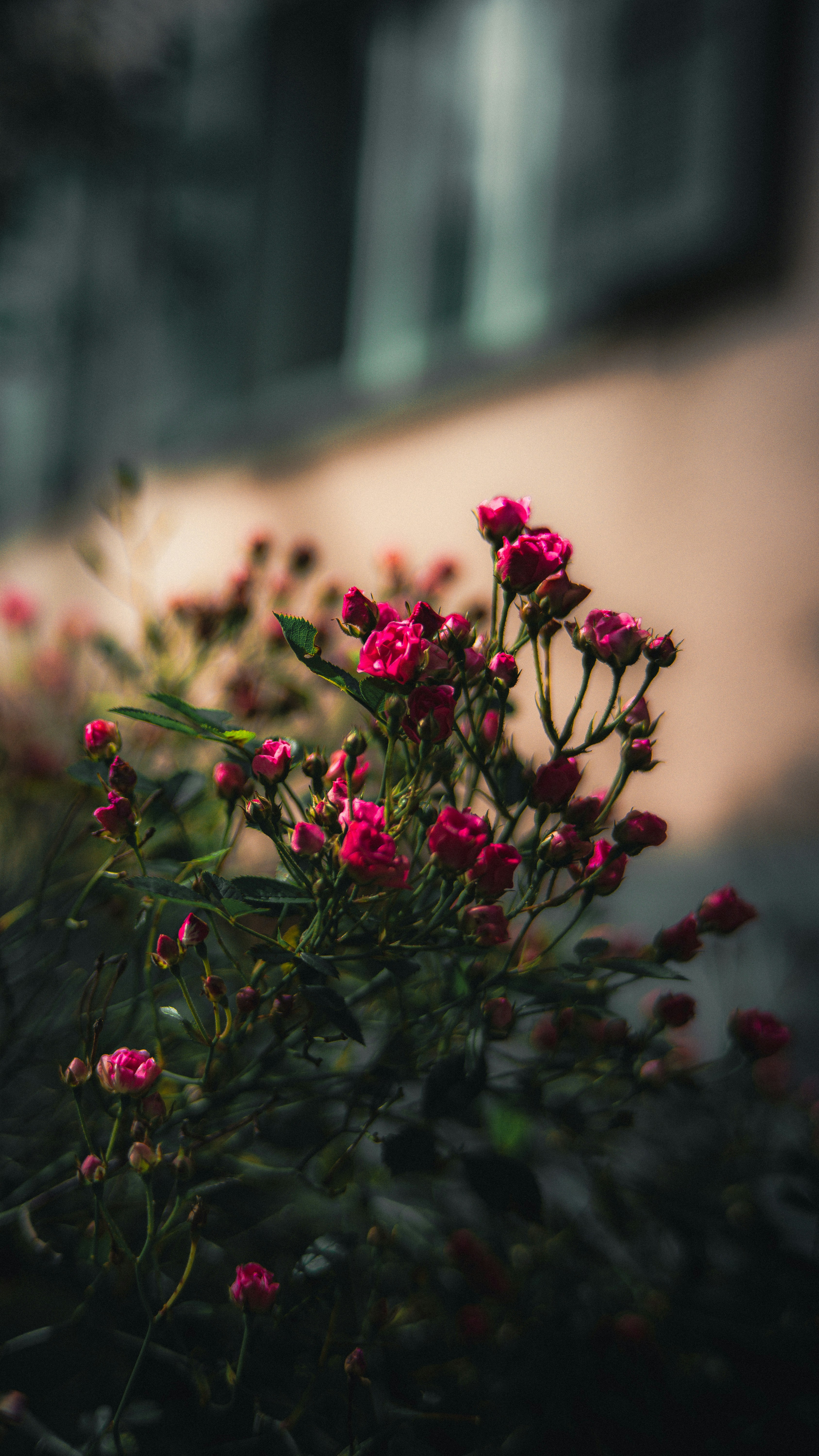 Photo by miguel_ind0