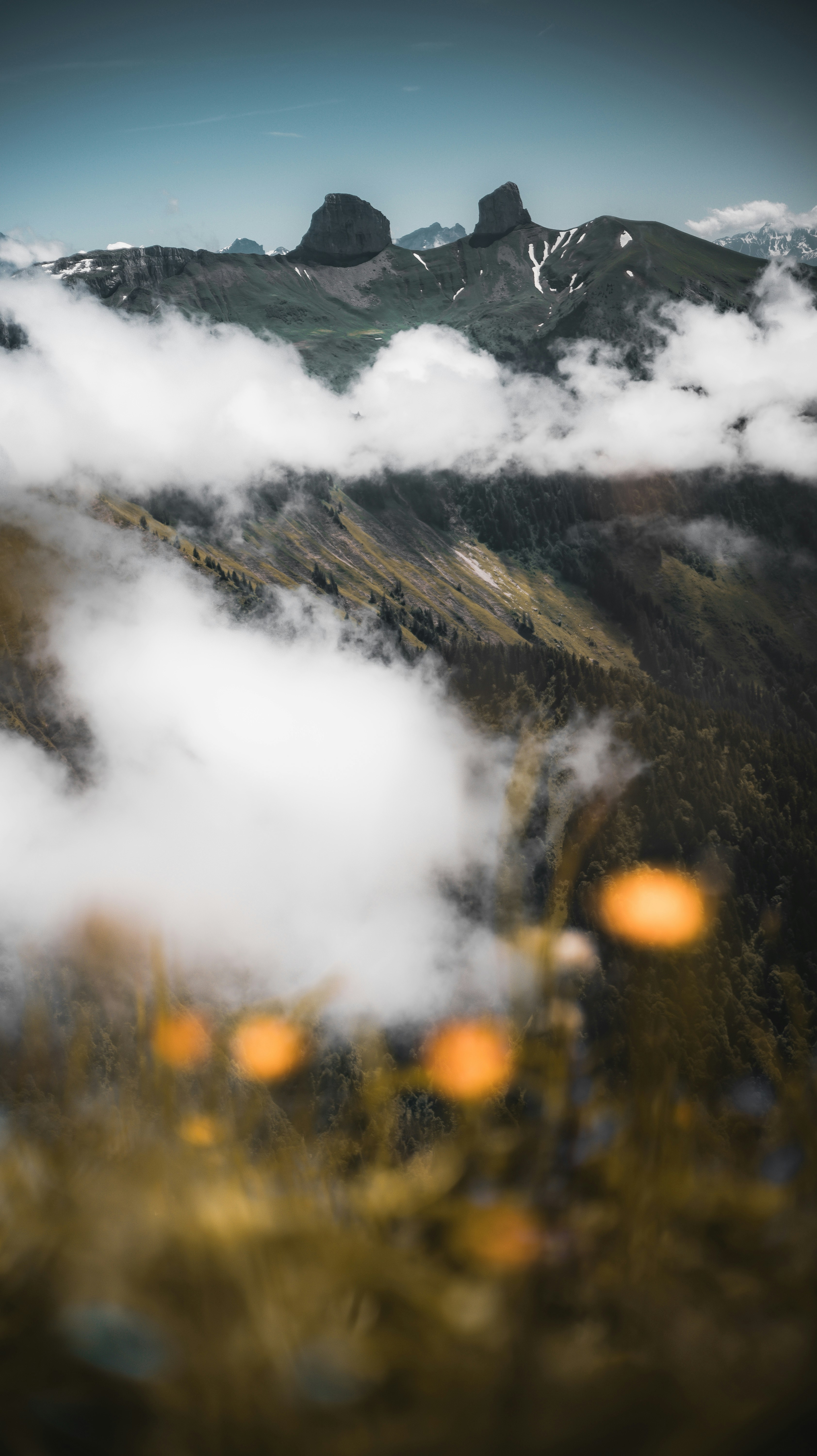 Photo by miguel_ind0