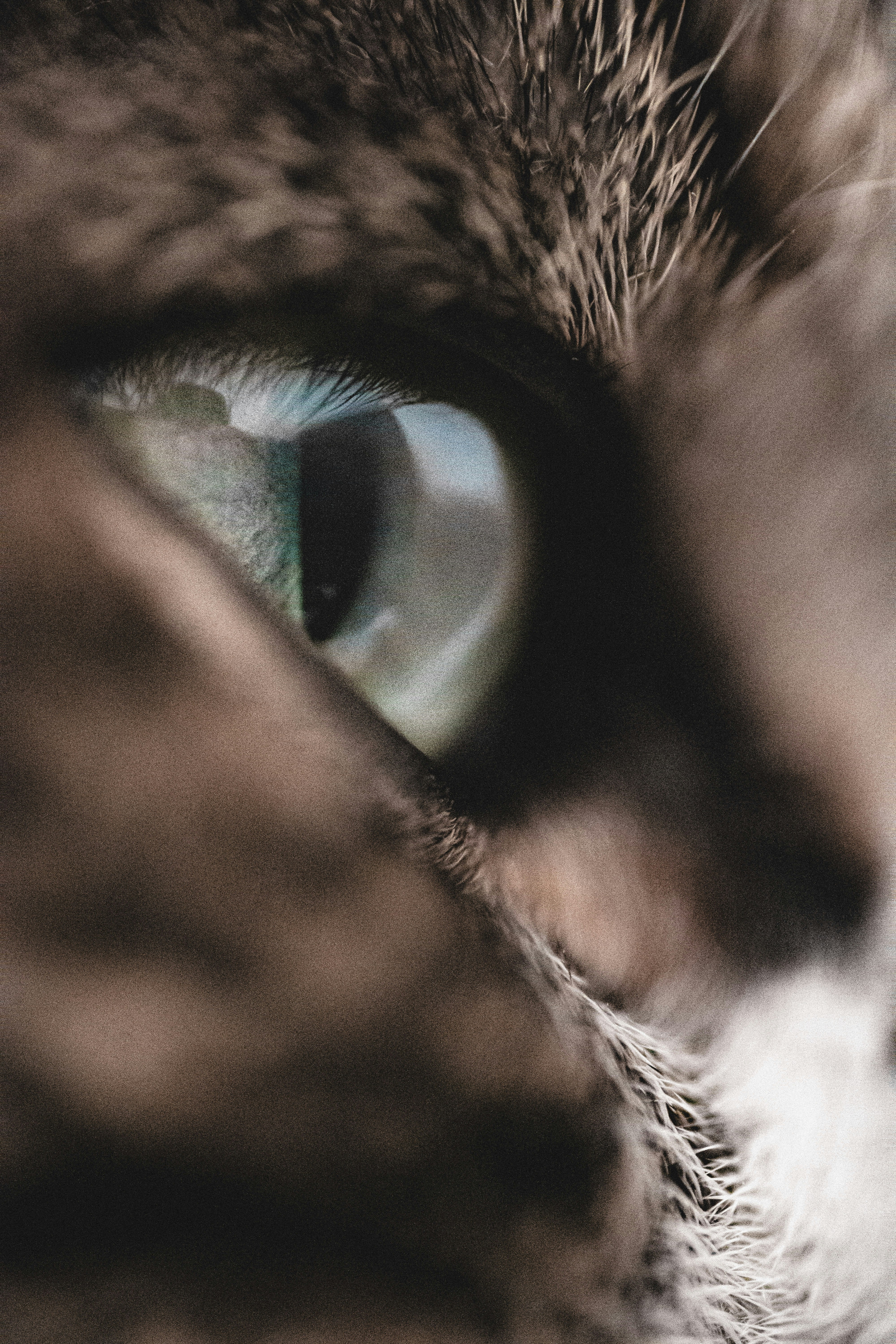 Photo by miguel_ind0