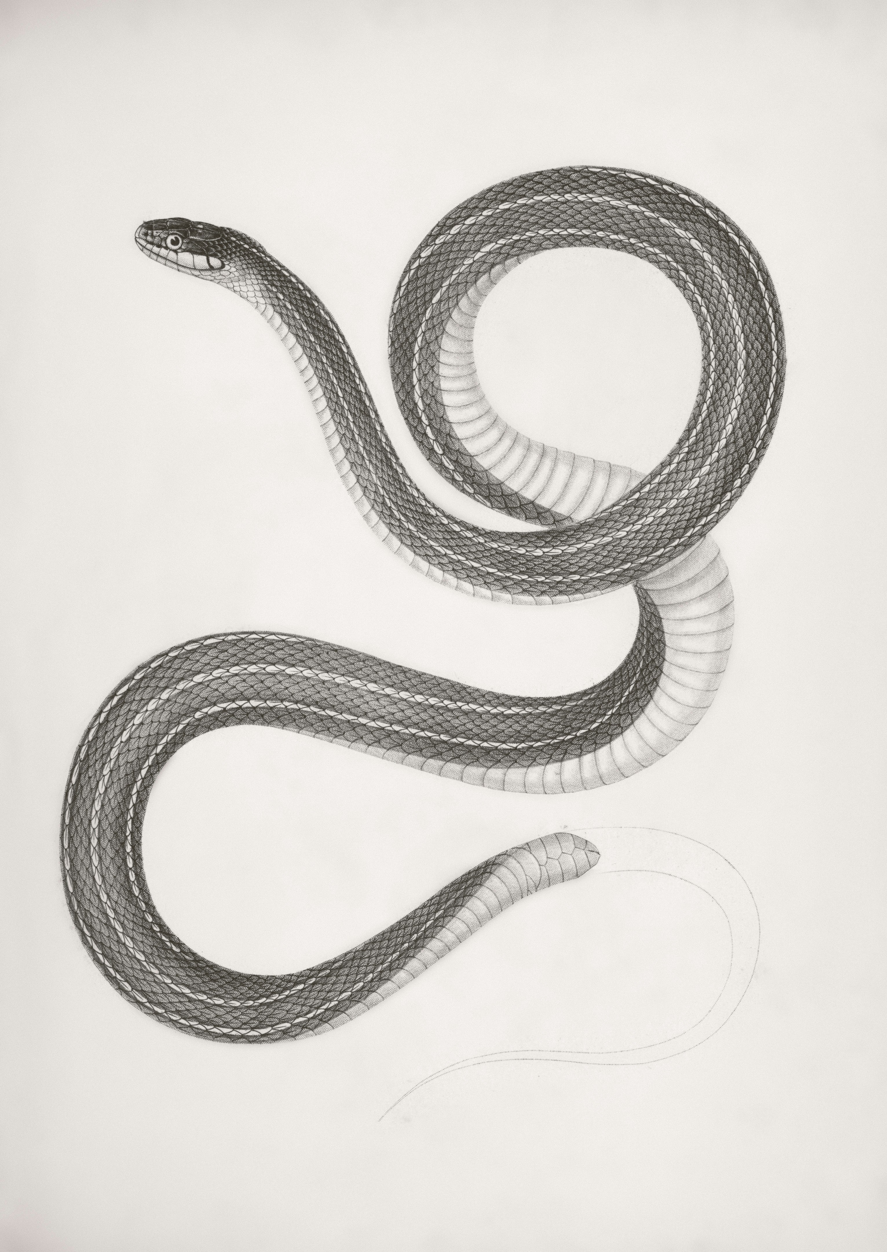 Placeholder image for PRODUCT