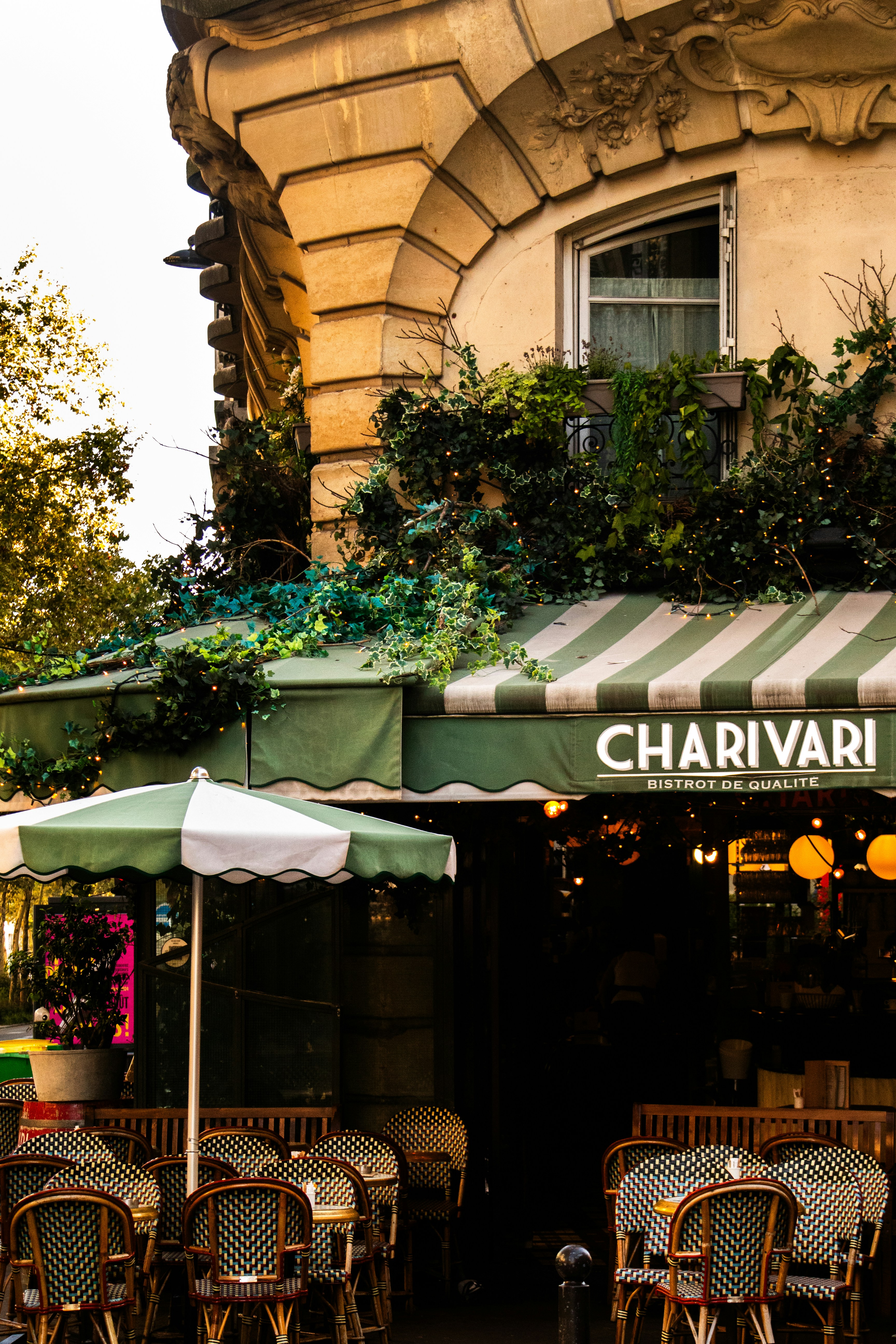 The Best Time to Arrive — and Why Timing Changes Everything