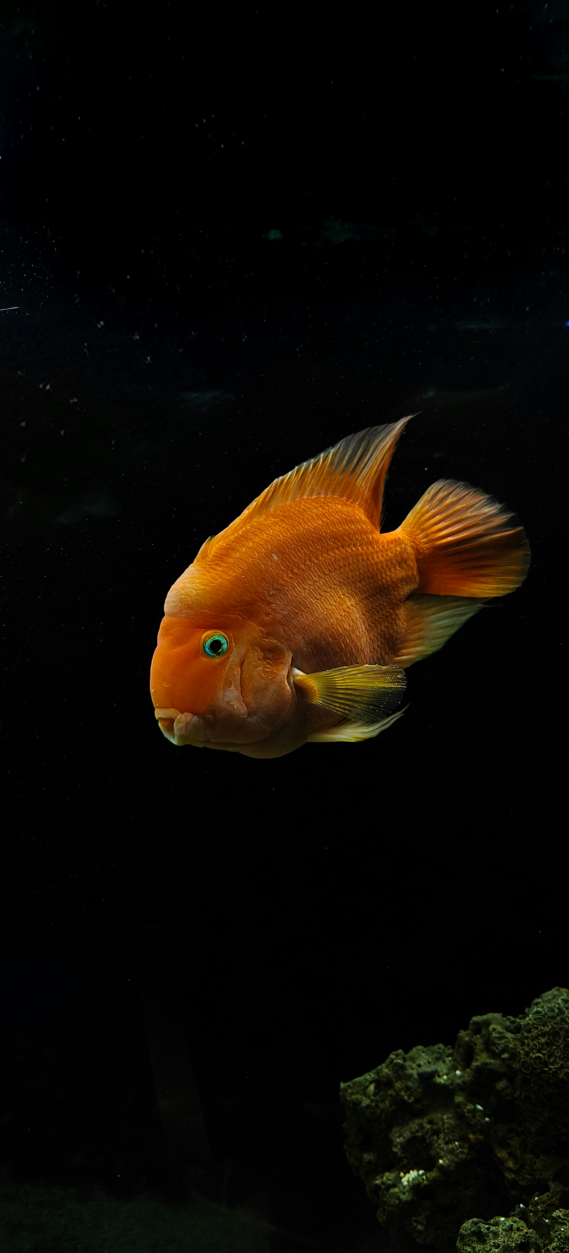 Photo by bithinrajxlr8