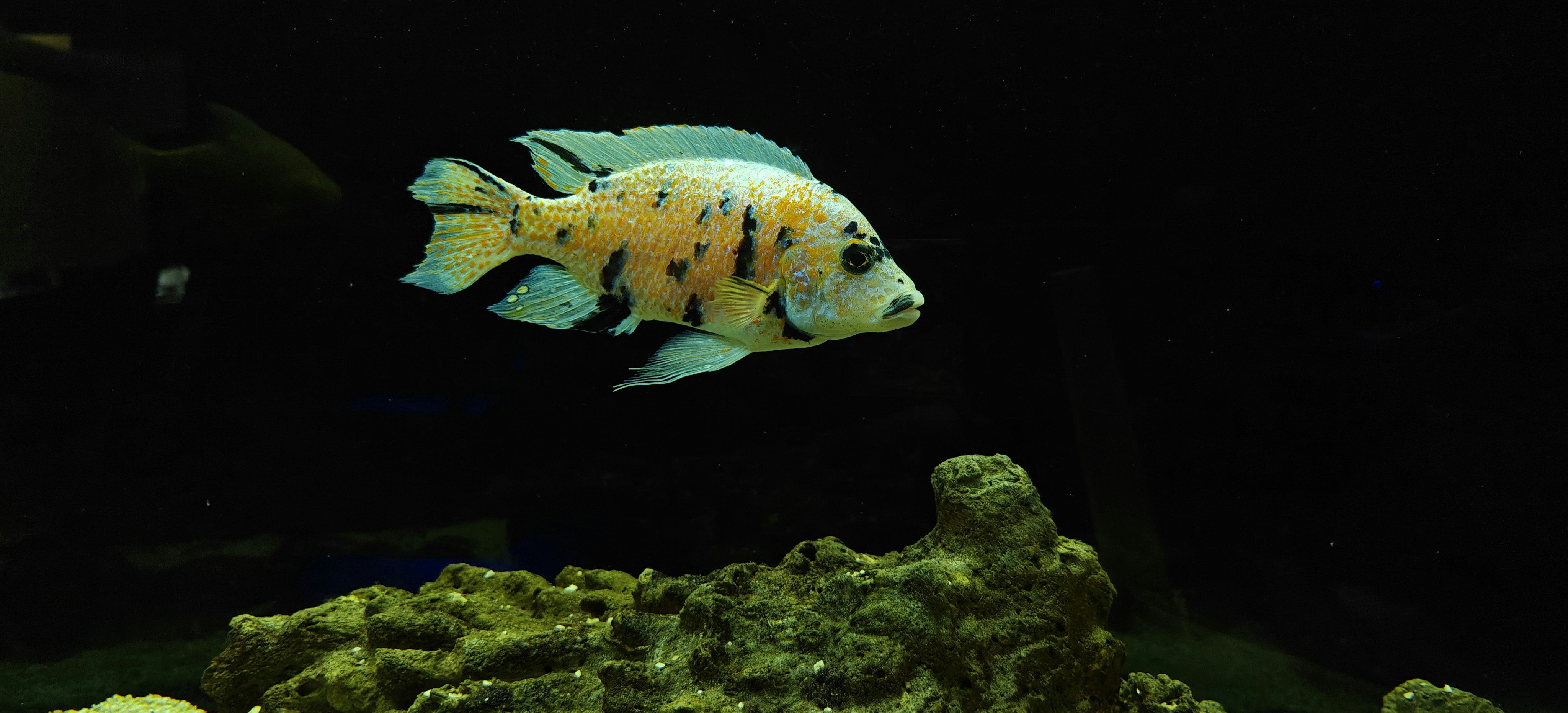 Photo by bithinrajxlr8