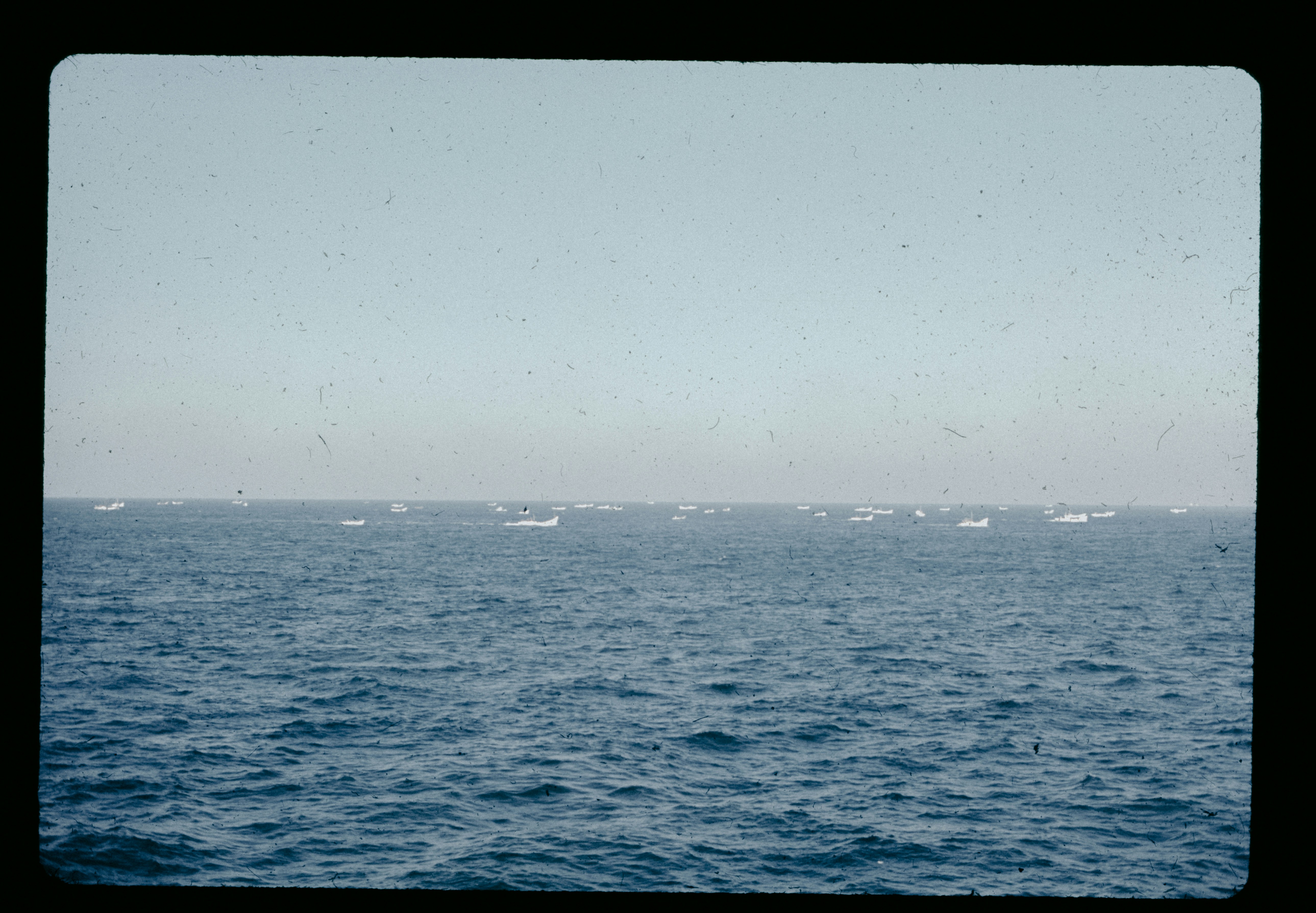 Photo by anniespratt