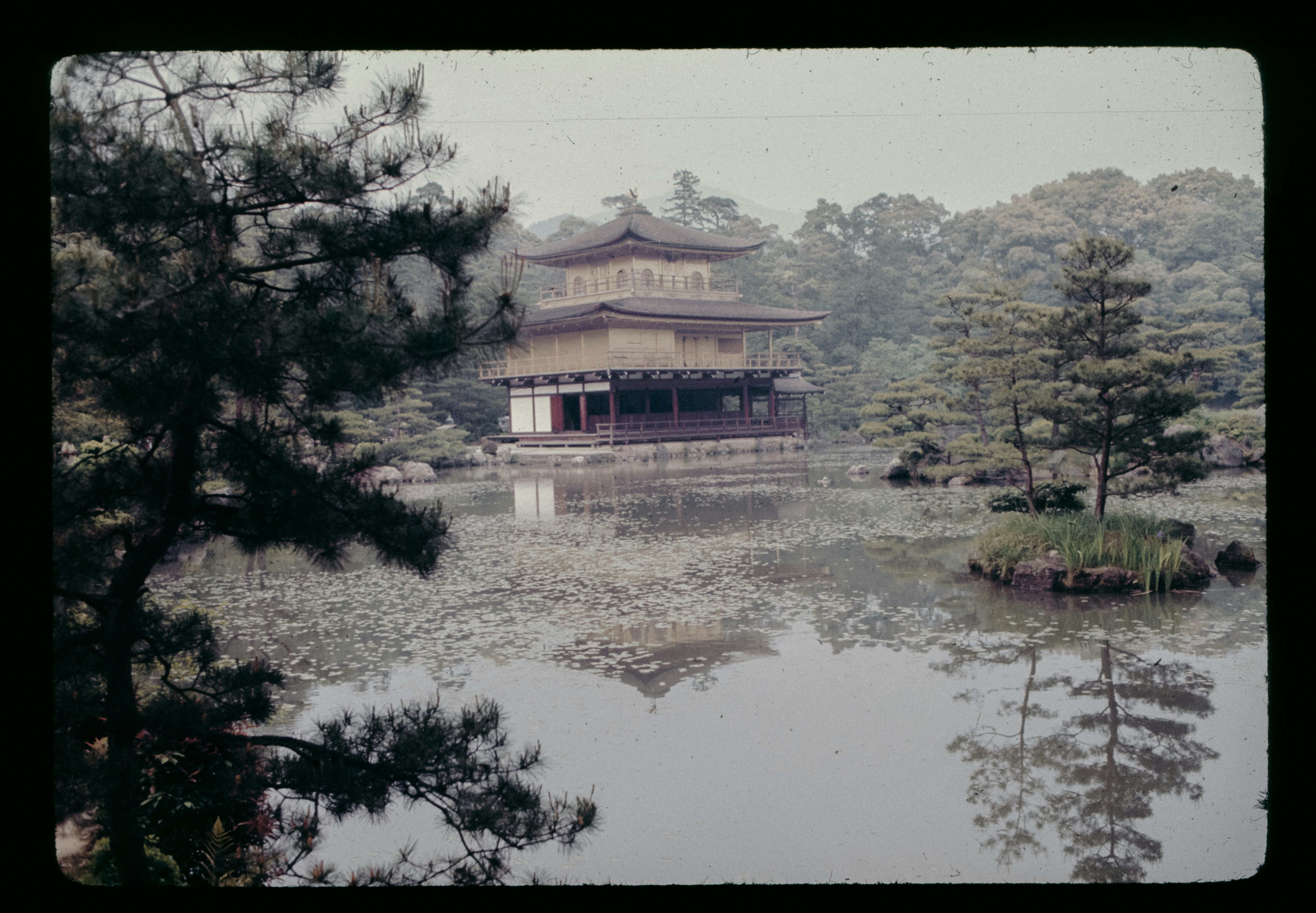 Photo by anniespratt