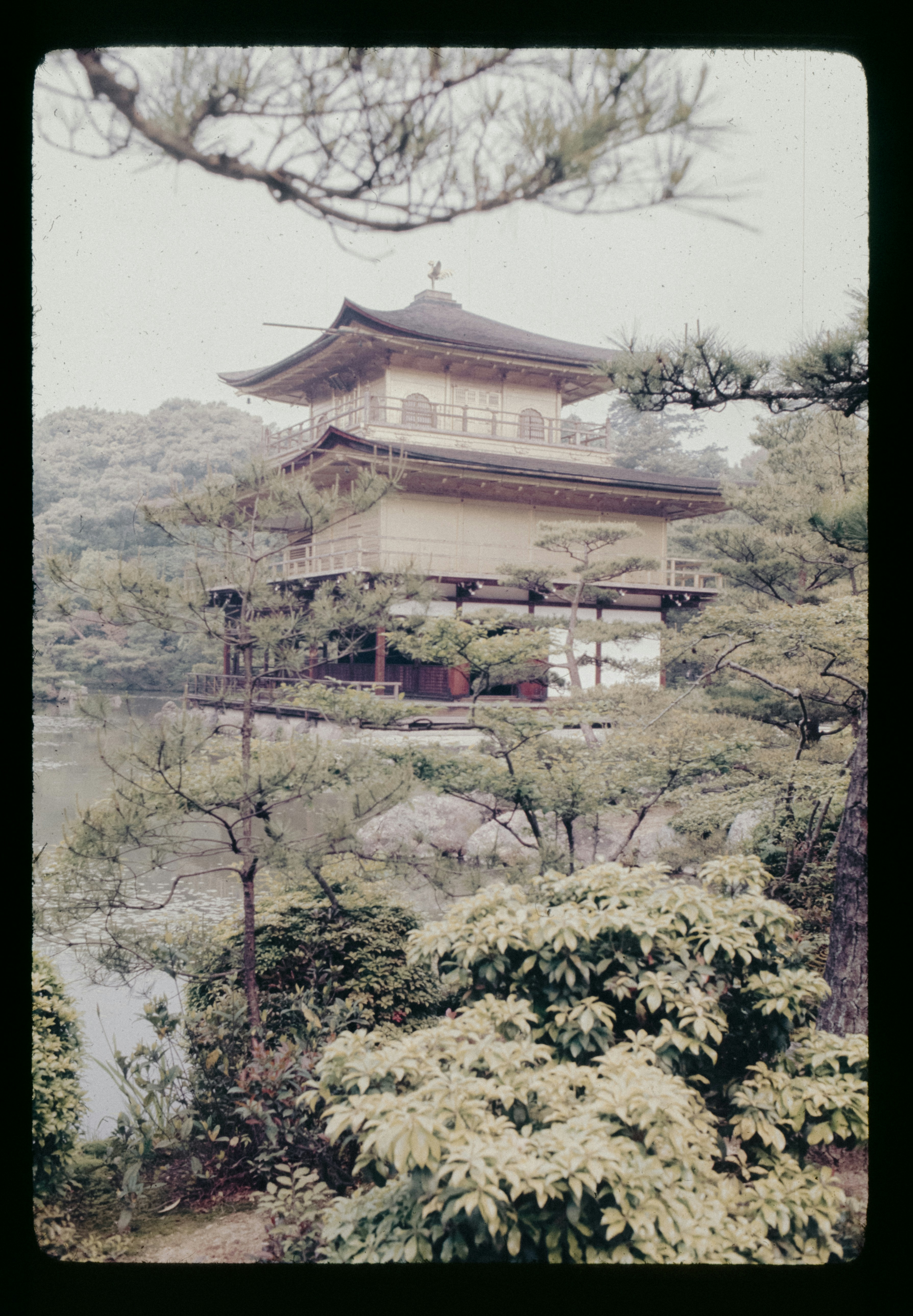 Photo by anniespratt