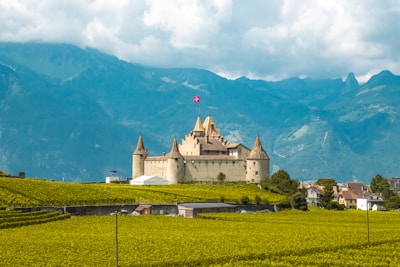 A castle in the middle of a green field
