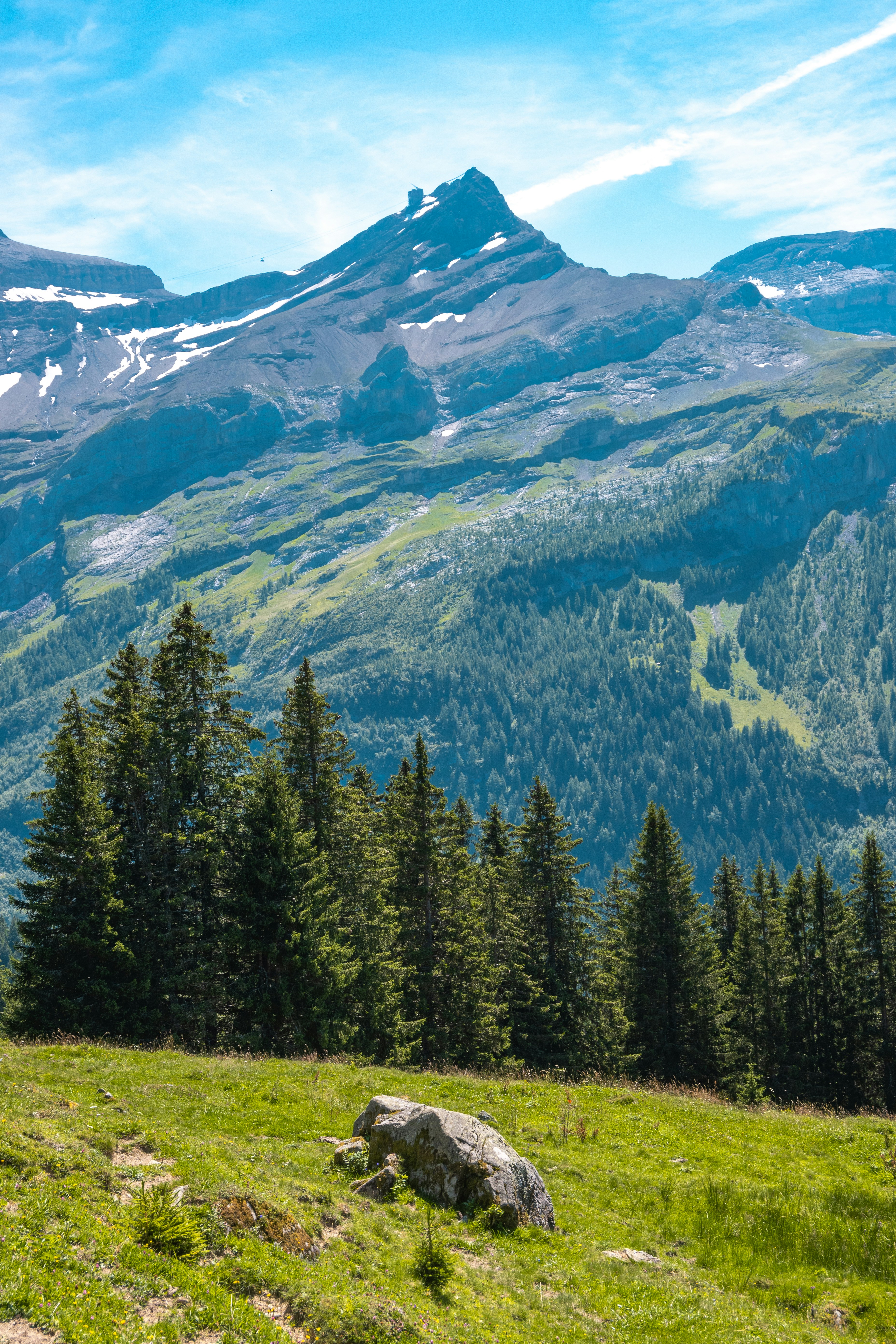 Photo by frankoosterbaan