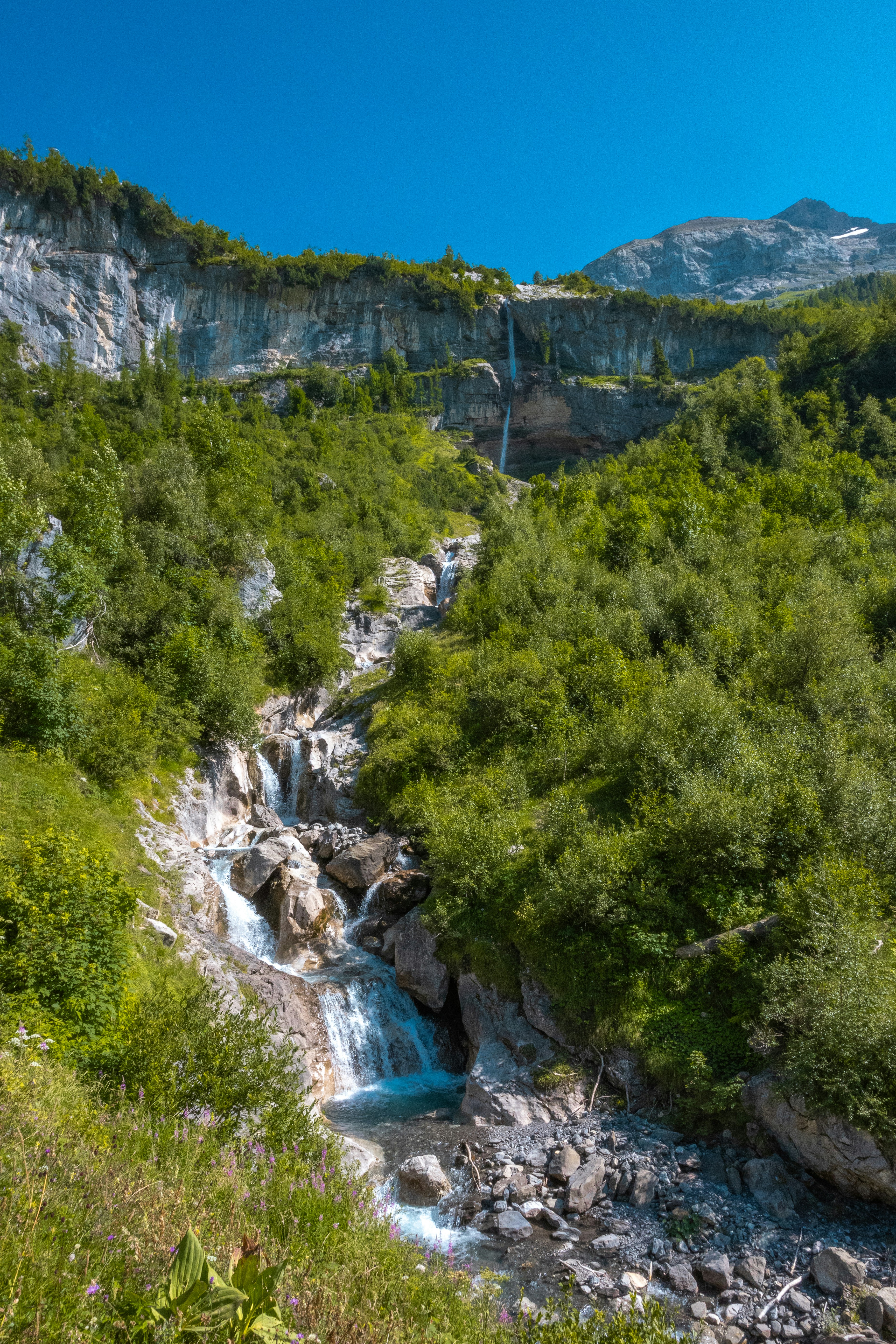 Photo by frankoosterbaan