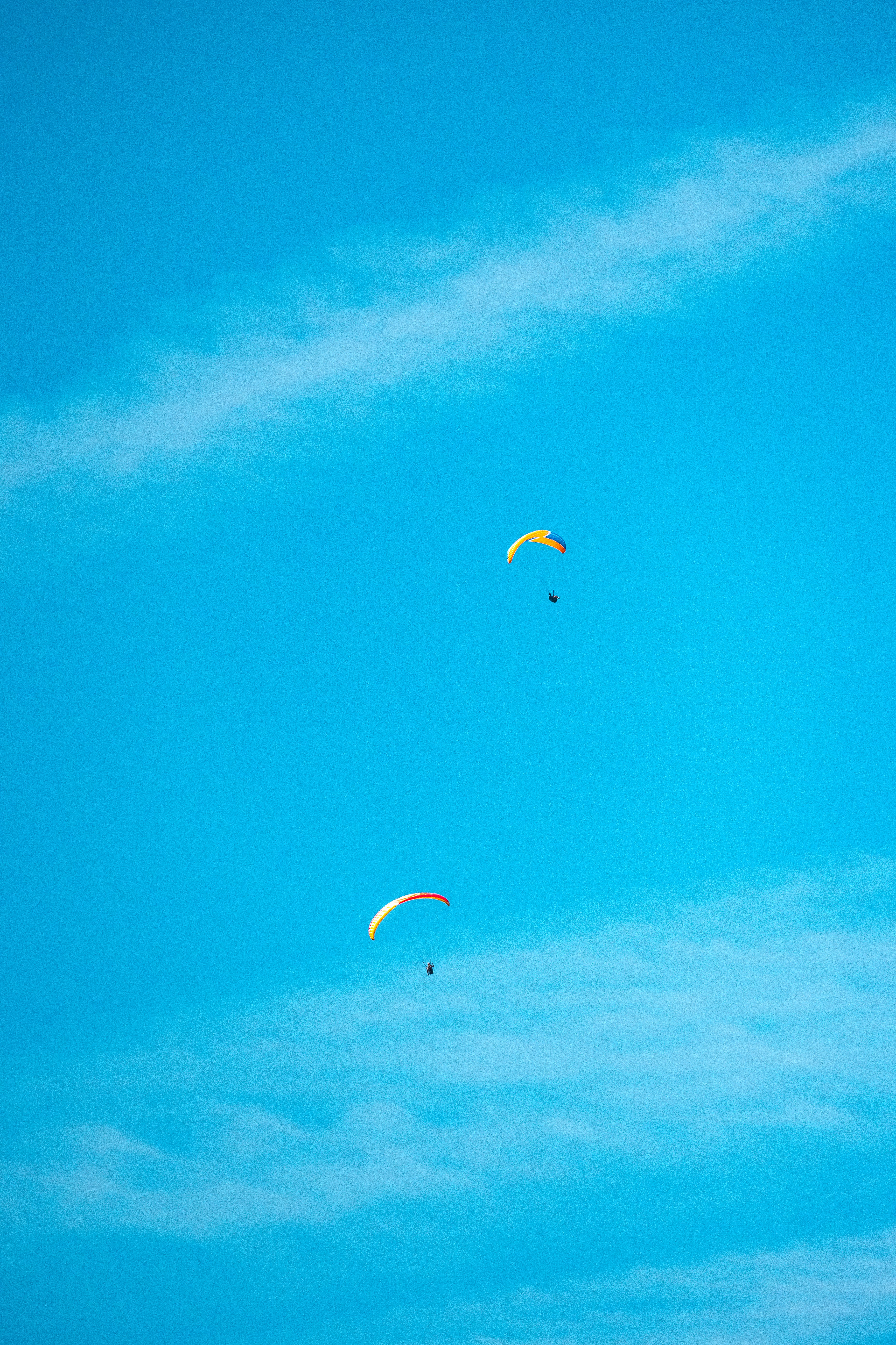 Photo by frankoosterbaan