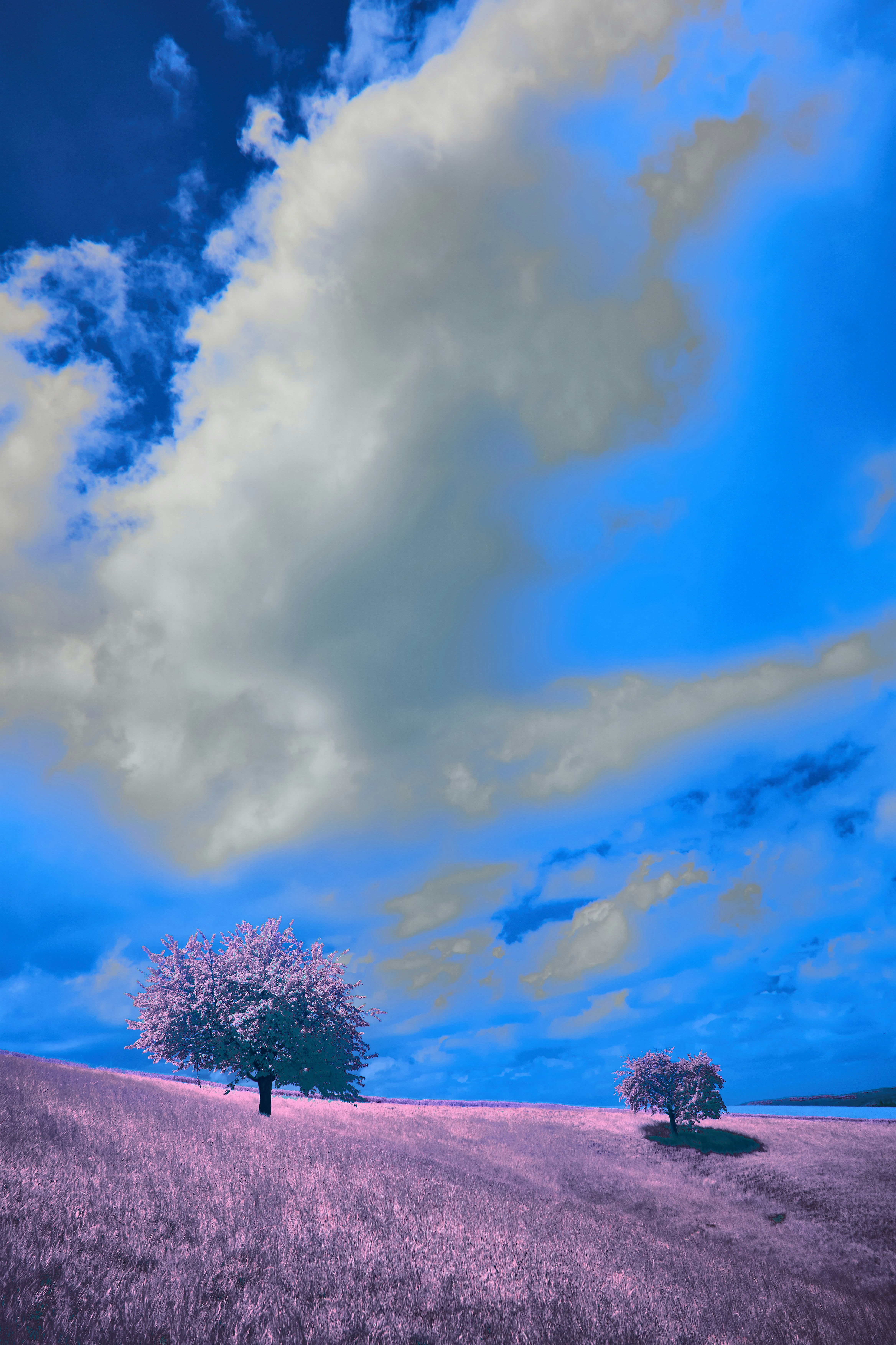 Photo by wolfgang_hasselmann