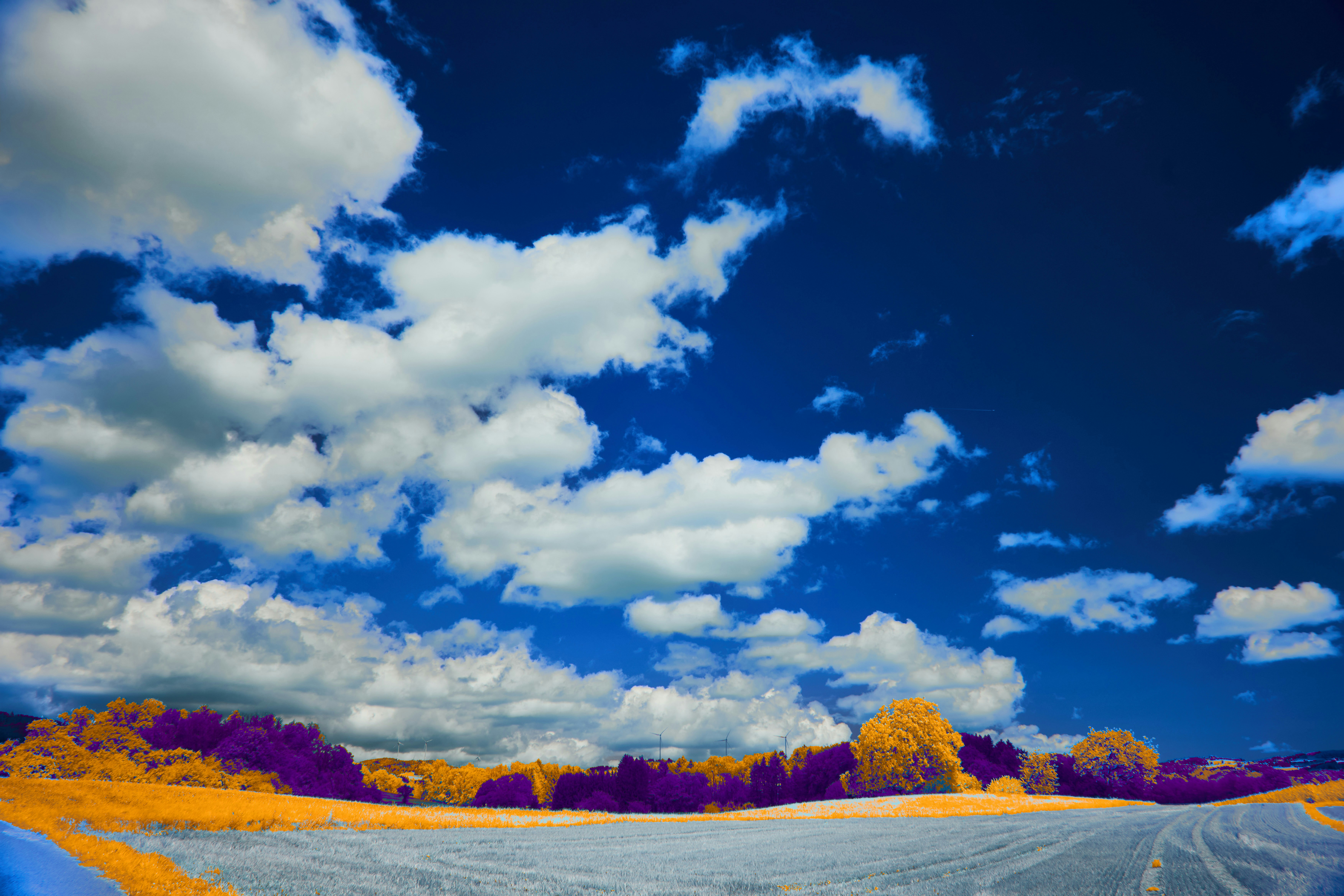 Photo by wolfgang_hasselmann