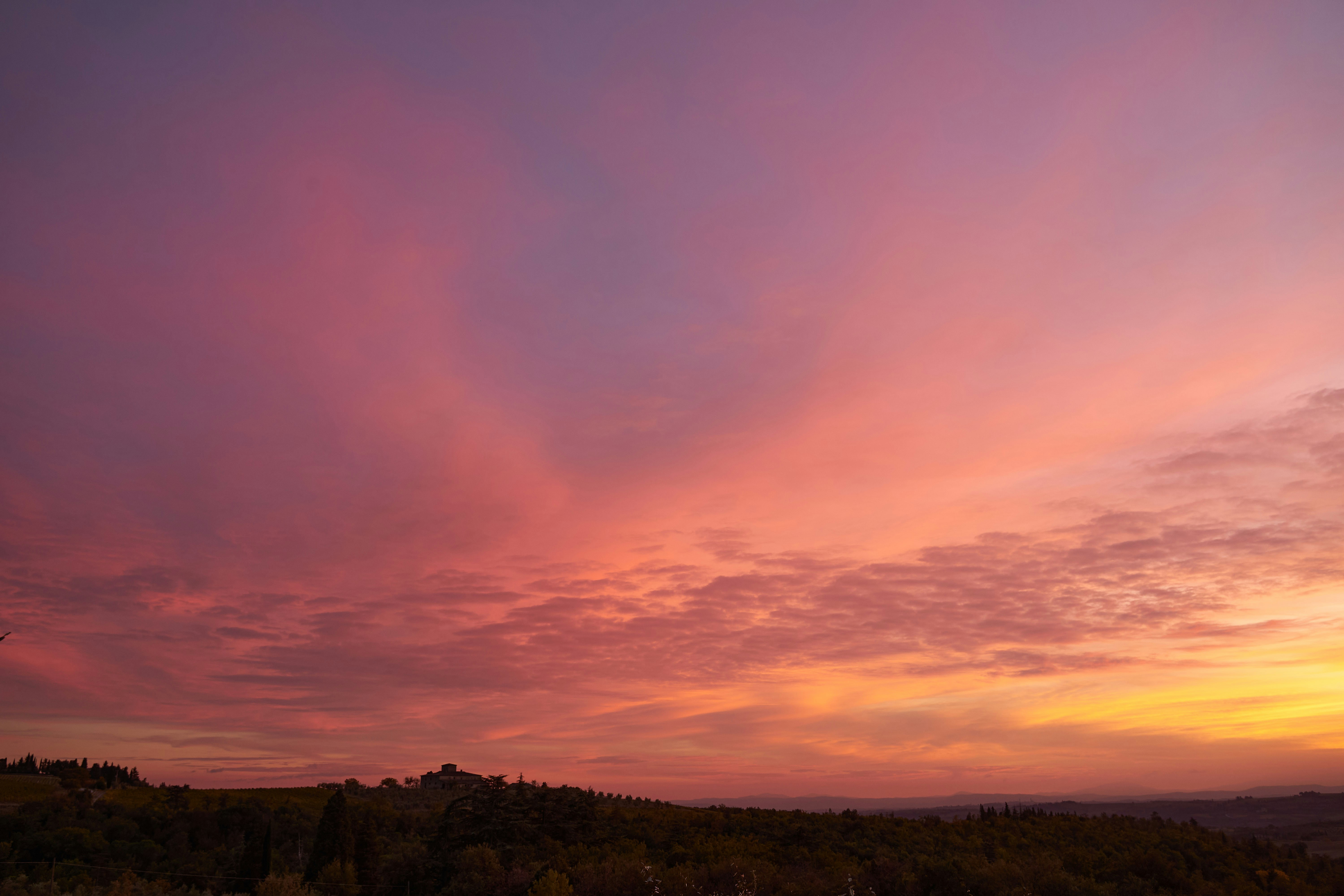 Photo by wolfgang_hasselmann