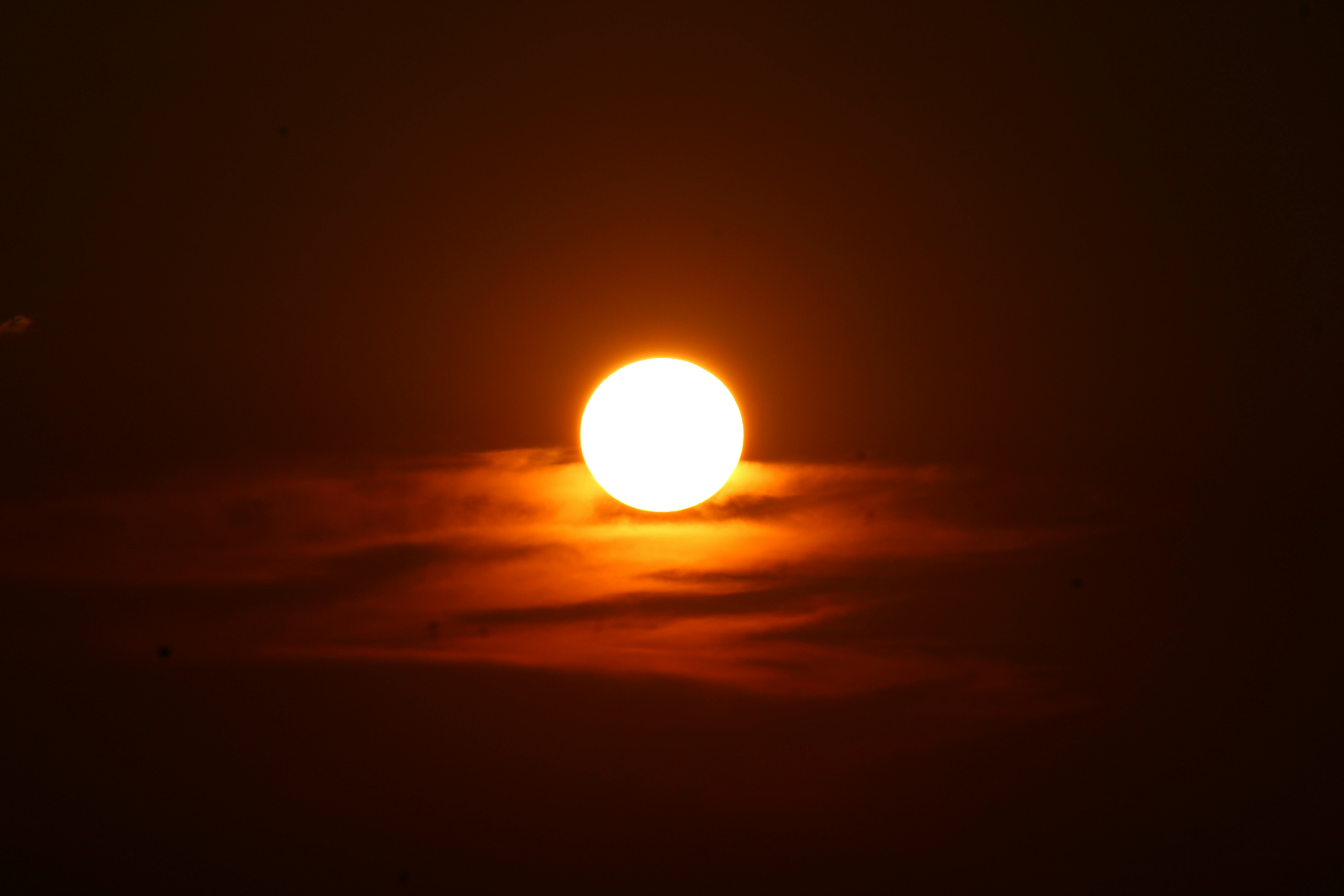 Photo by photoloveramico