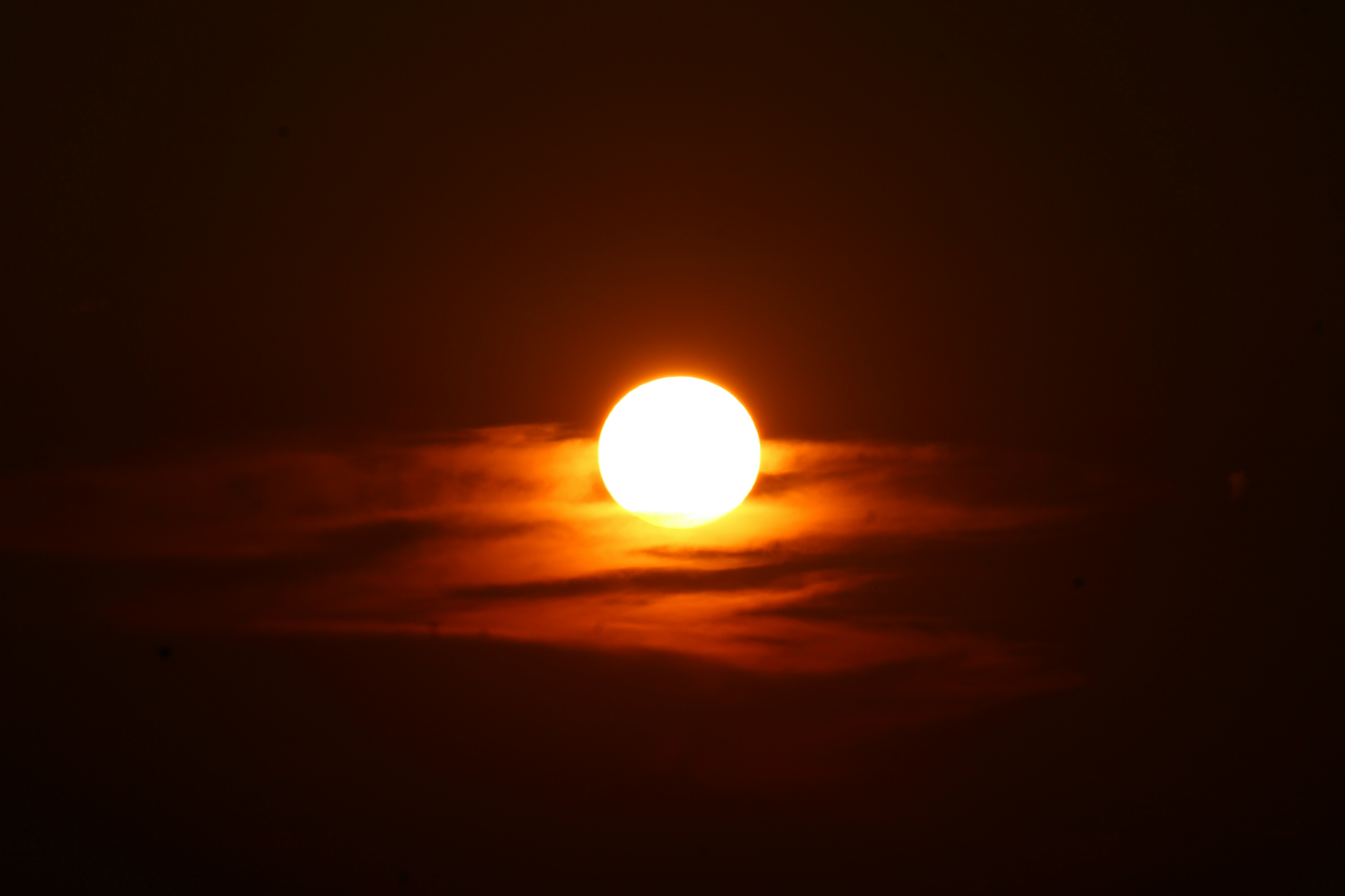 Photo by photoloveramico