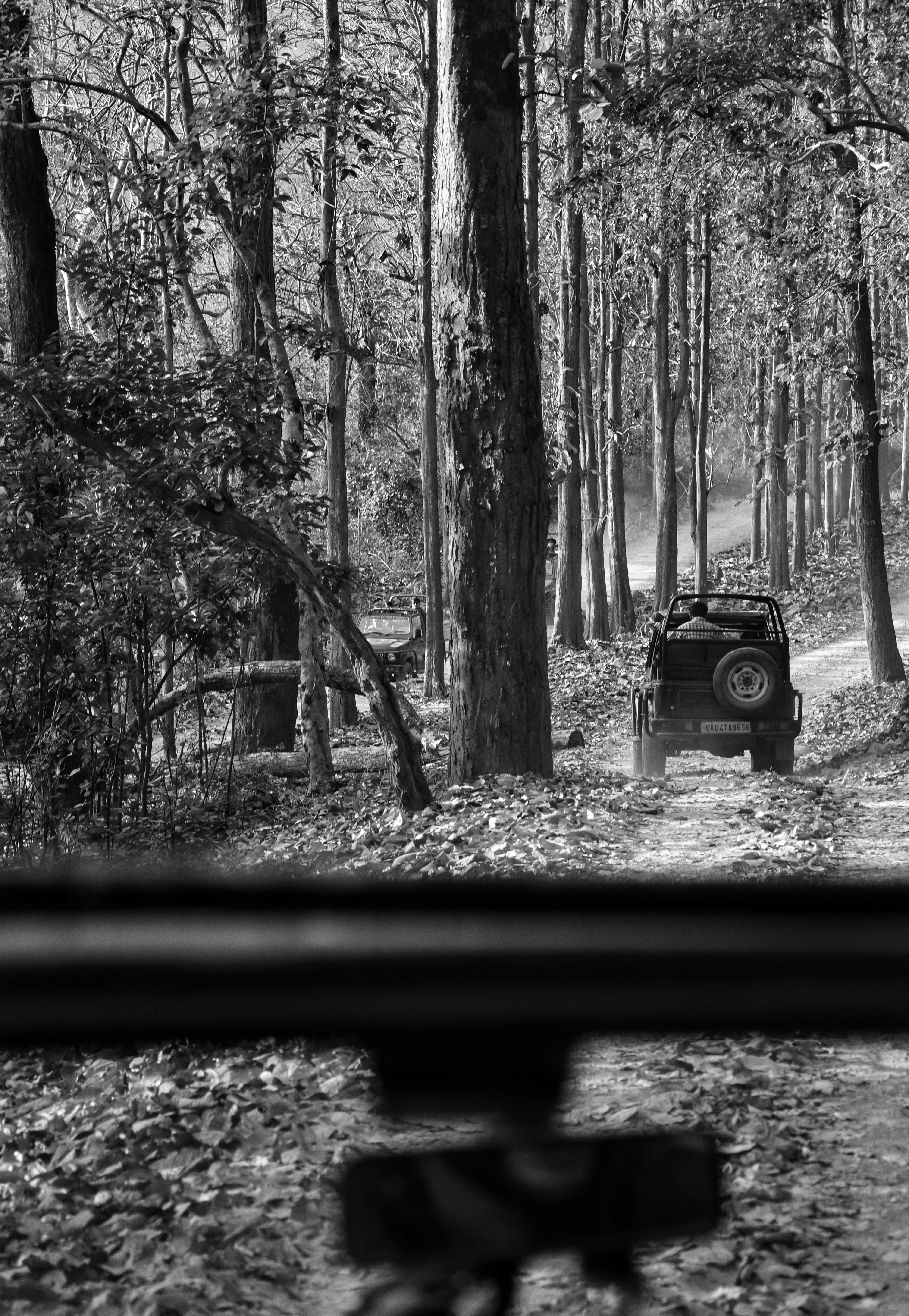 Photo by _anubhavarora