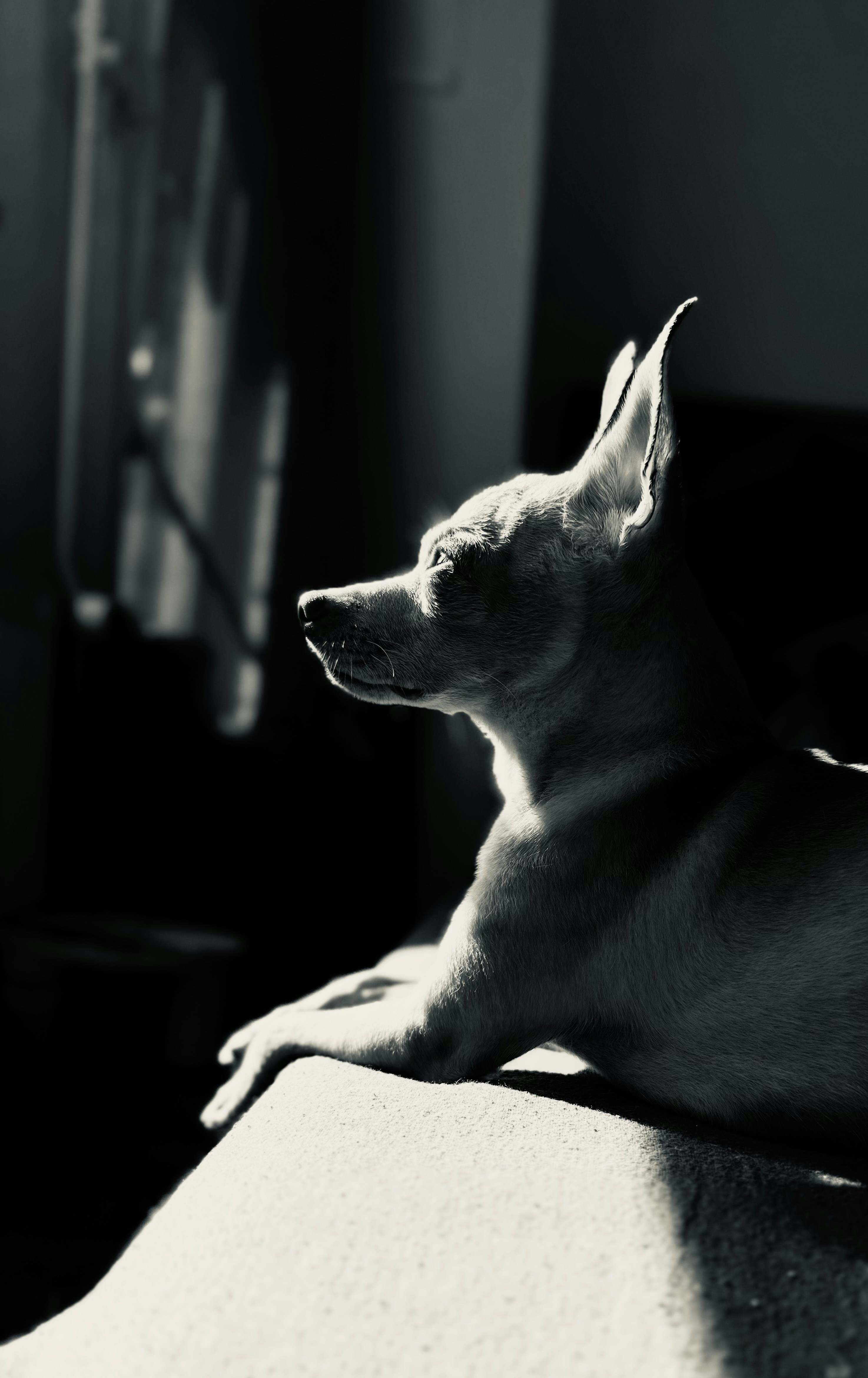 Photo by greekopassion