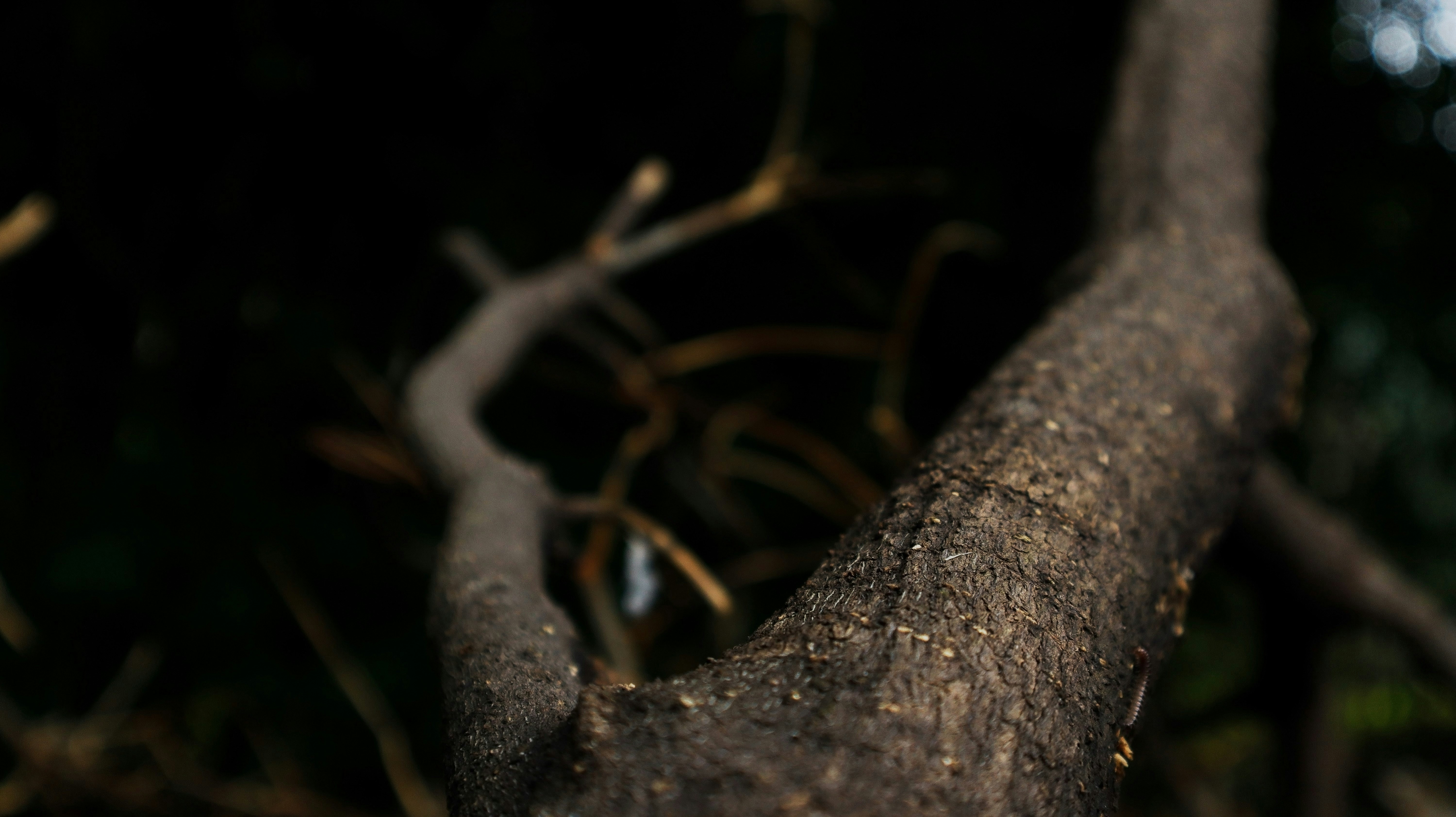 Photo by wajahat1981