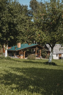 fruit trees in garden
