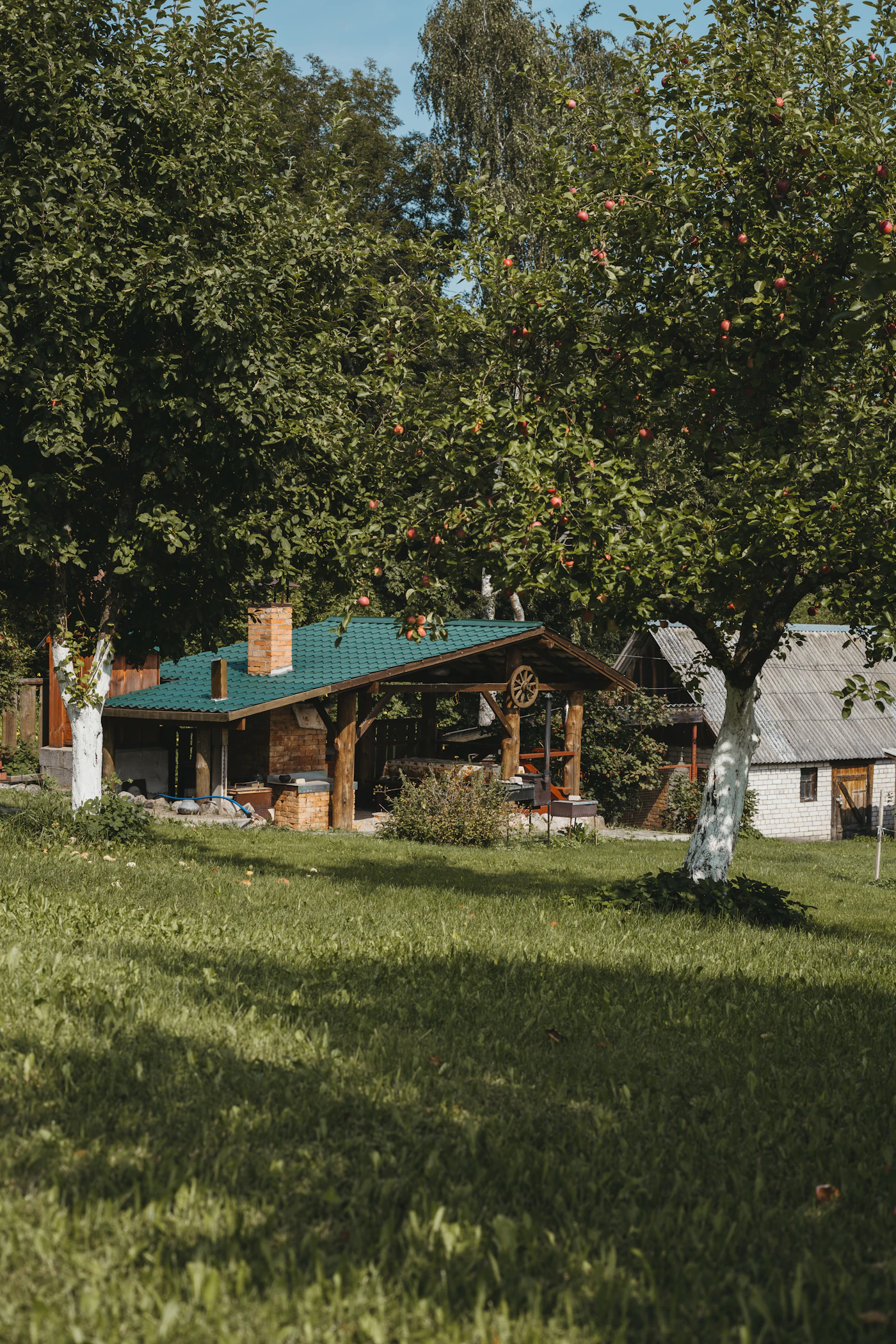 Cottage-style home with a green roof among trees