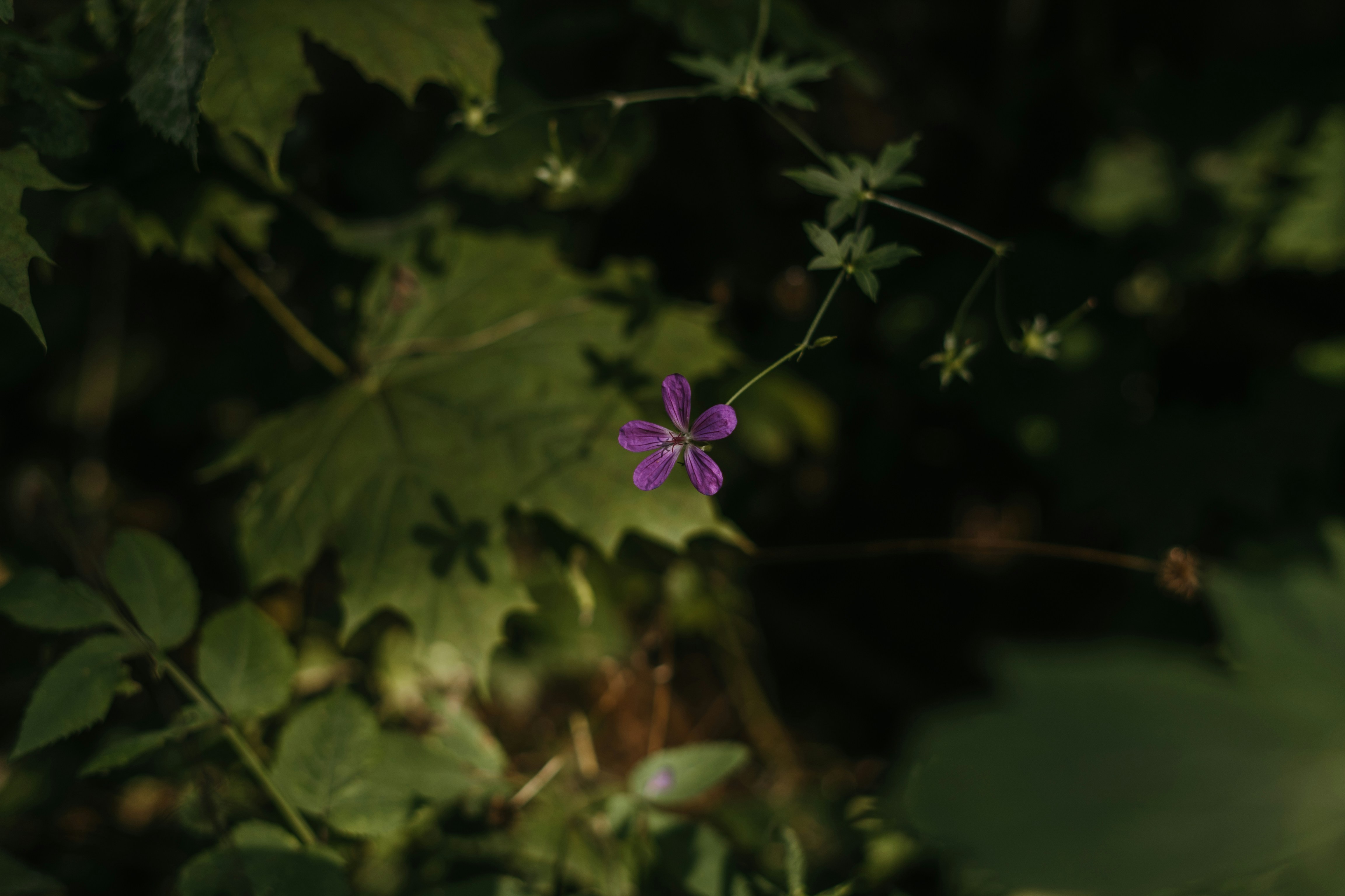 Photo by p_kuzovkova