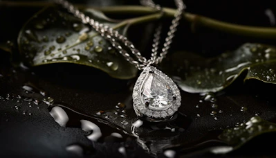 A close up of a necklace on a leaf